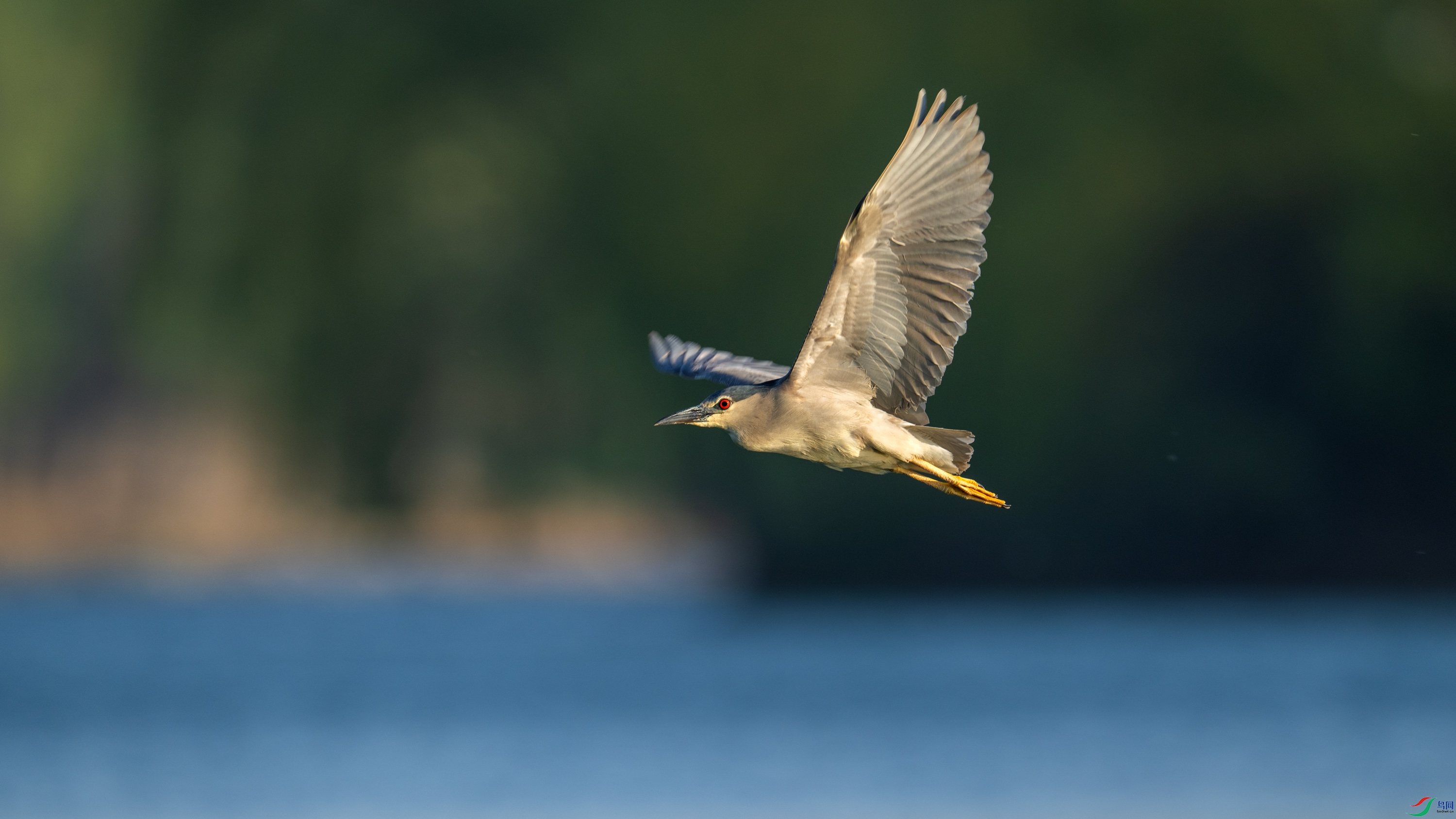 DSC_6398.jpg