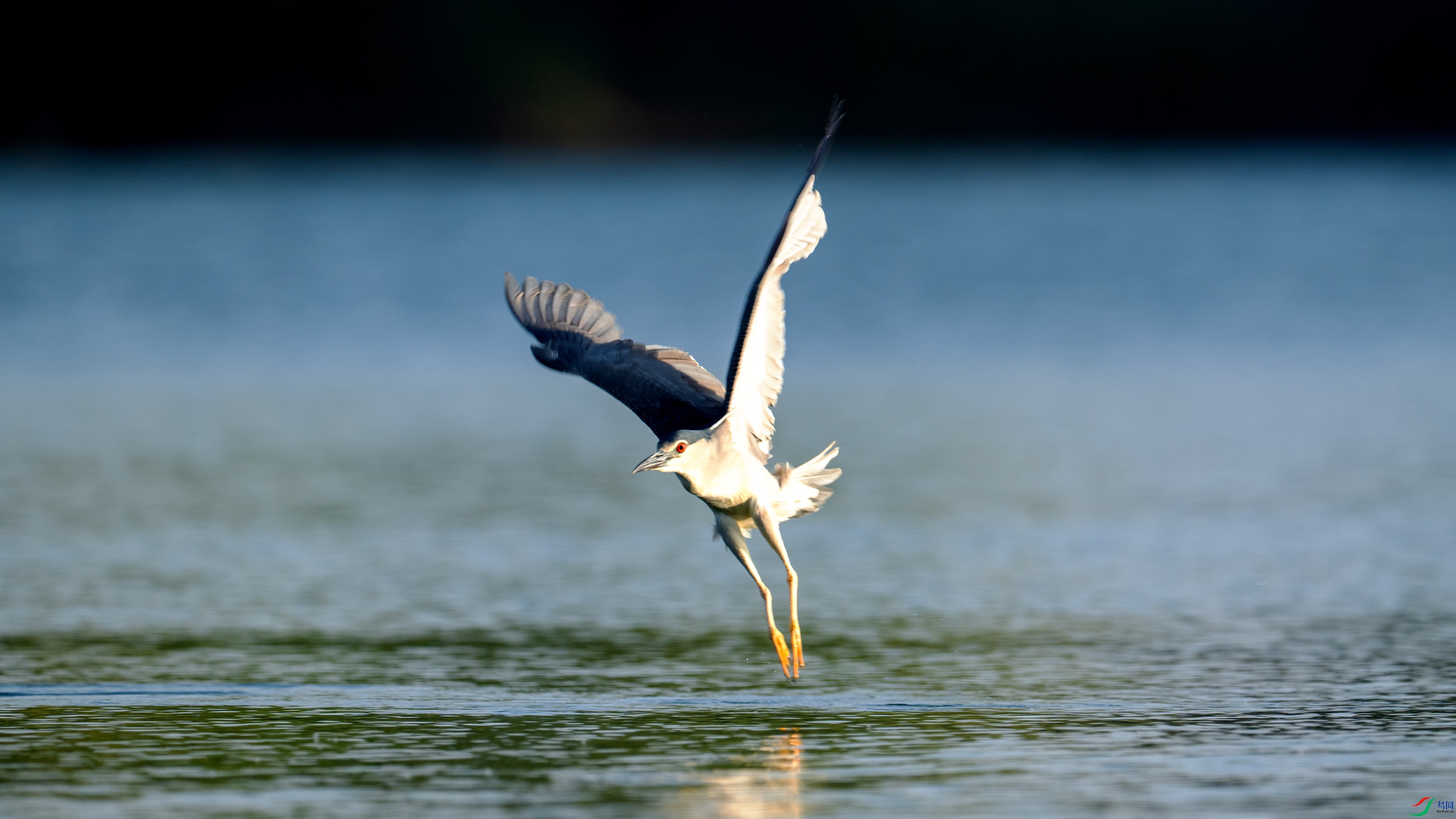 DSC_6433.jpg