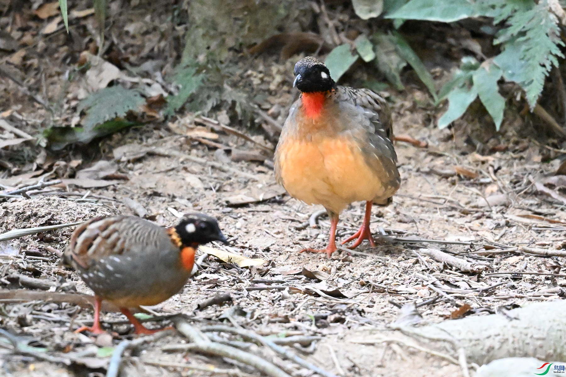 DSC_7314.JPG