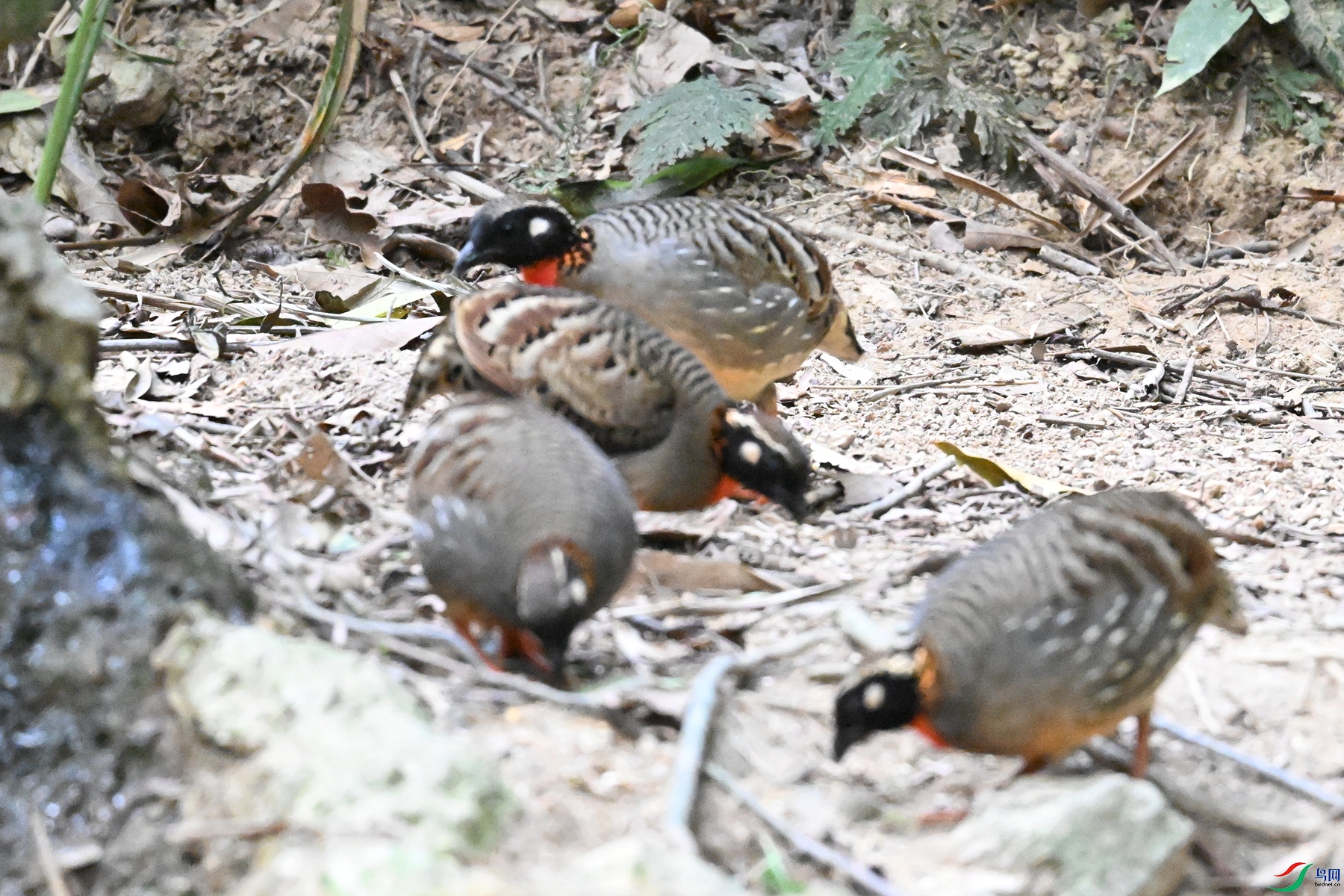 DSC_7338.JPG