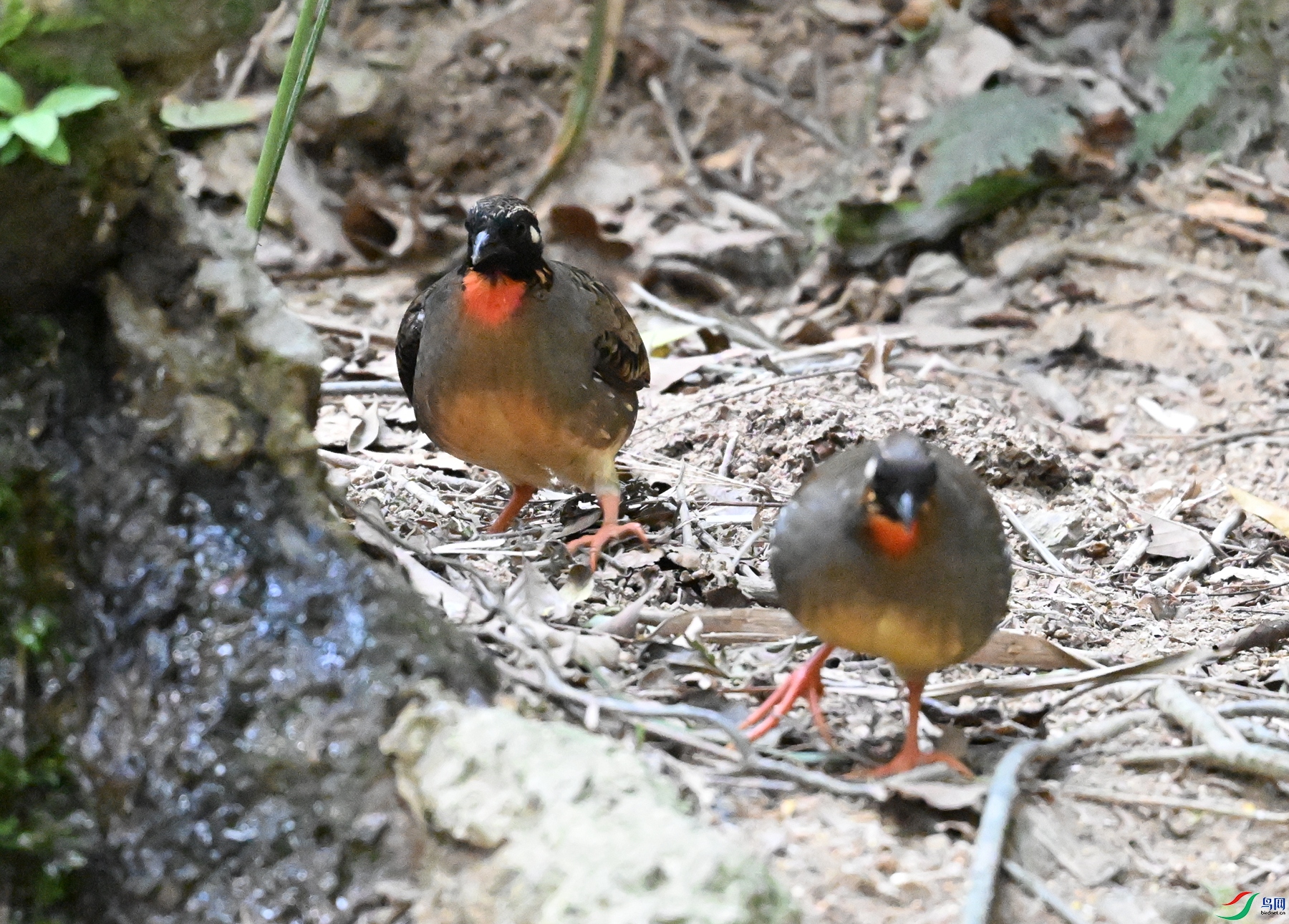 DSC_7330.JPG