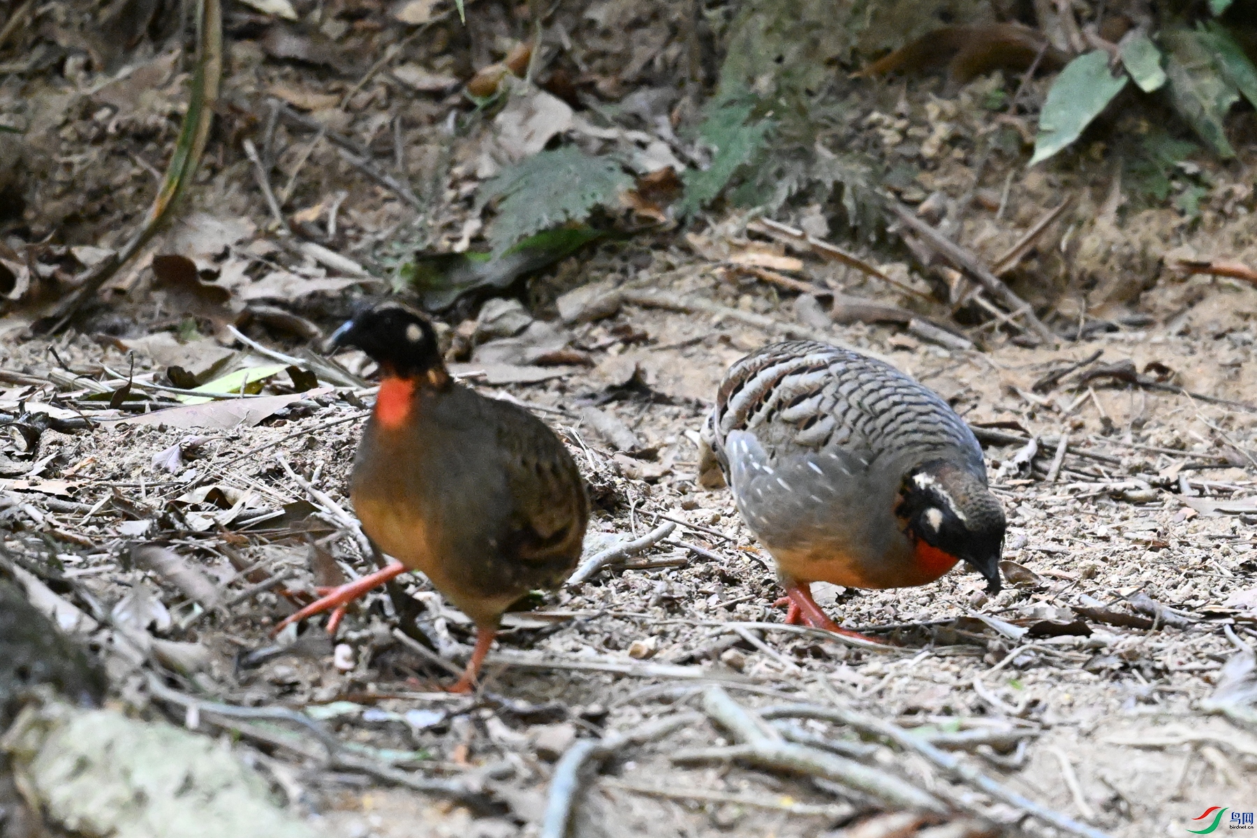 DSC_7356.JPG
