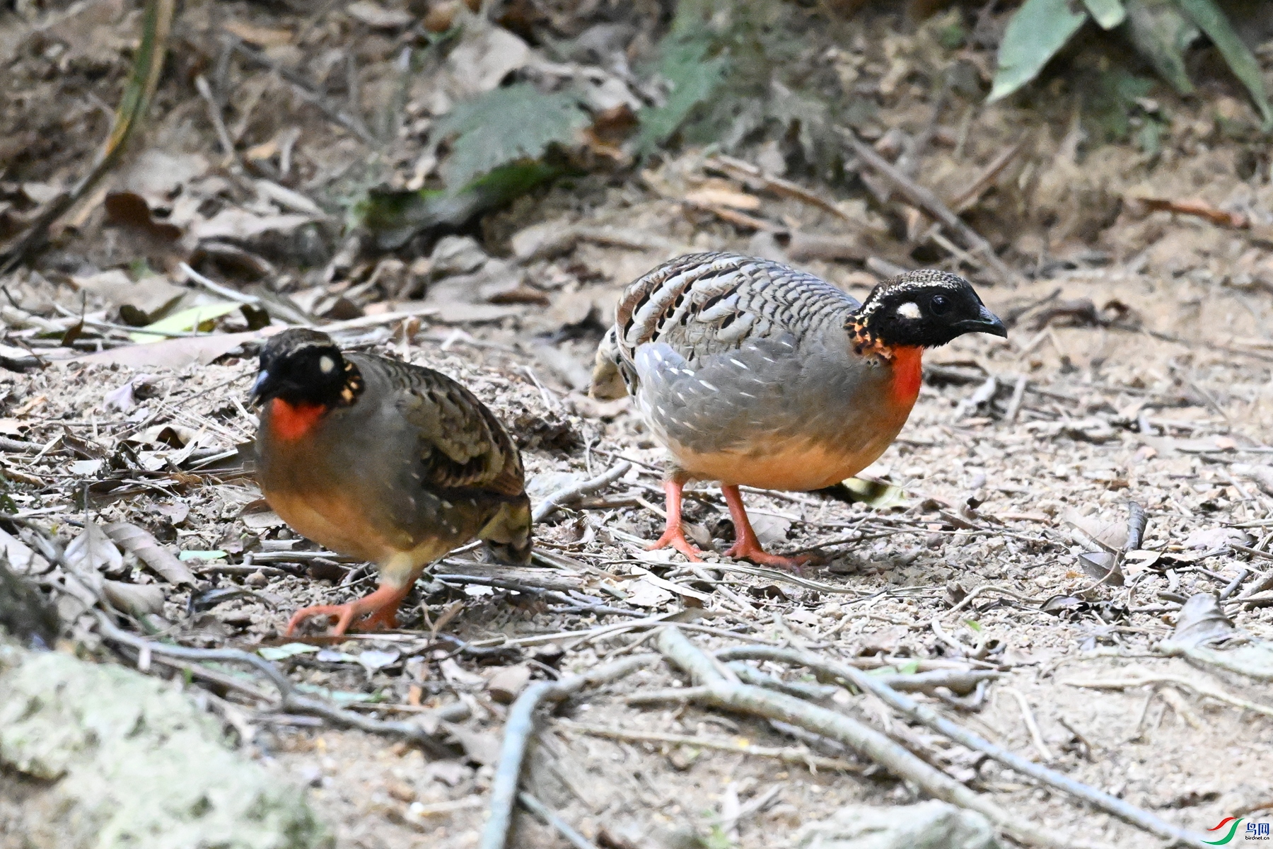 DSC_7360.JPG