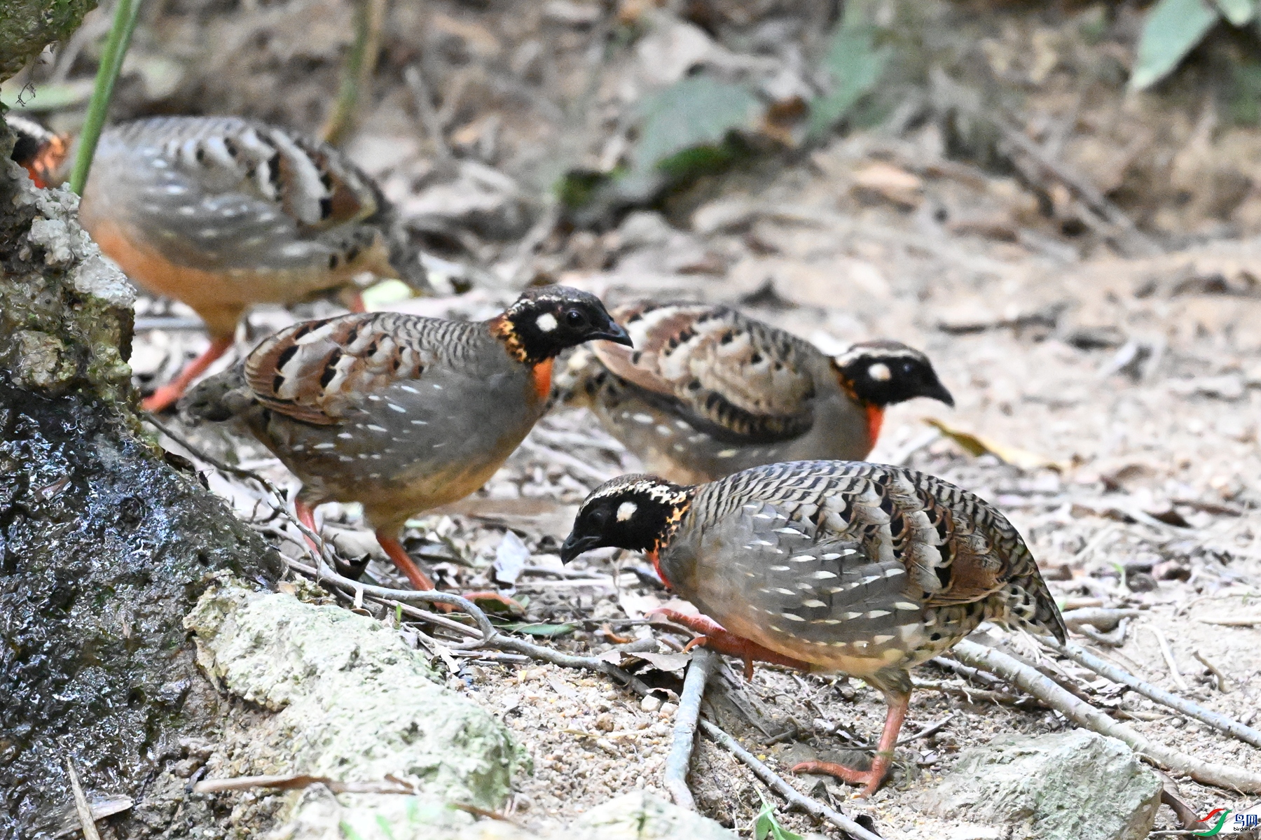 DSC_7340.JPG
