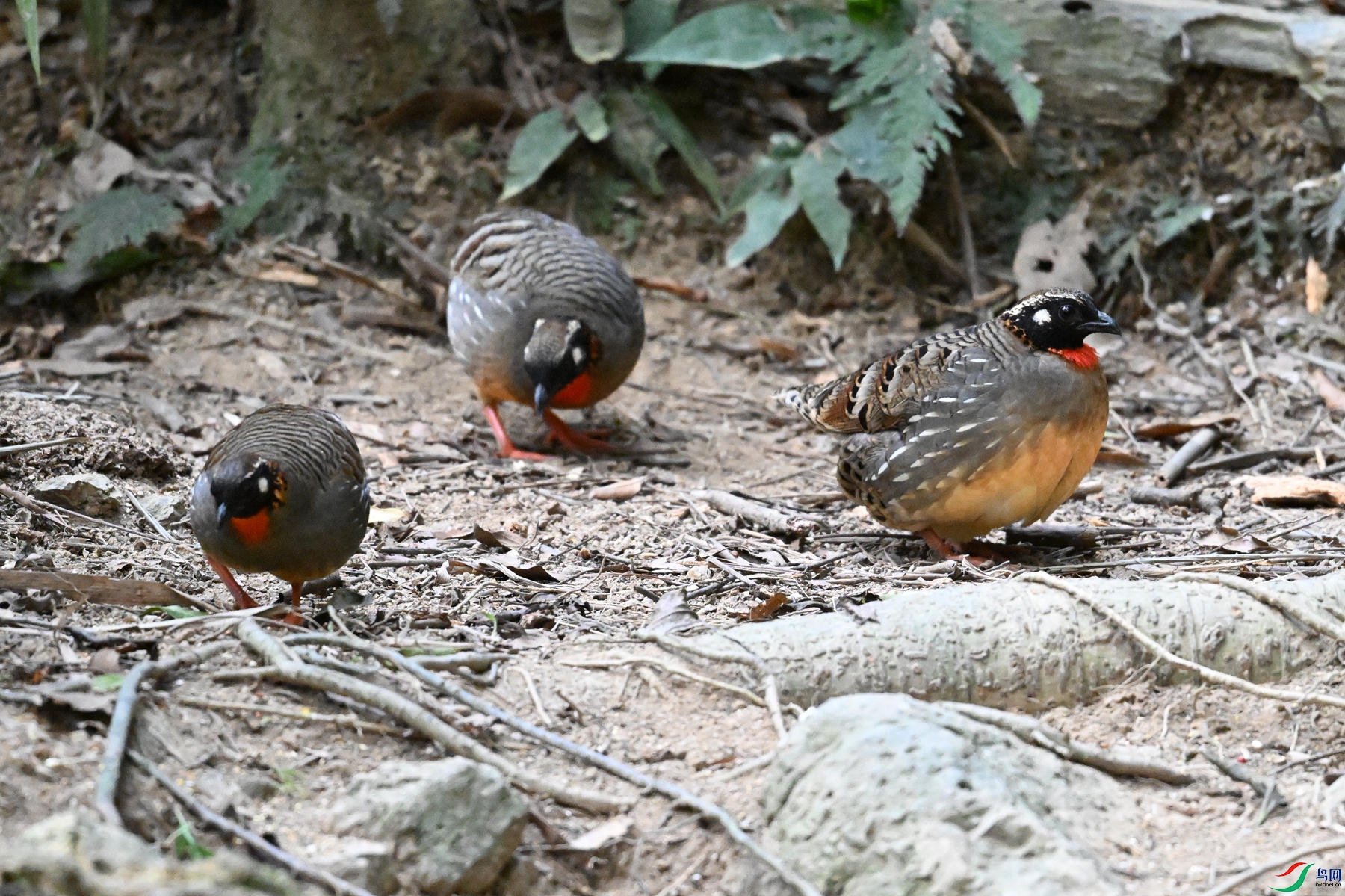 DSC_7307.JPG