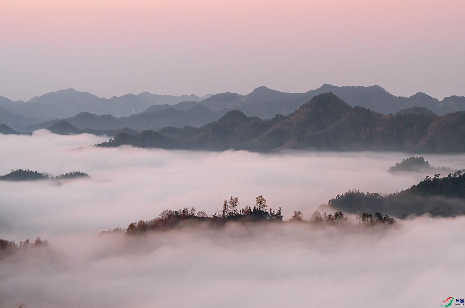 DSC_1432- �峿�ƺ�.jpg
