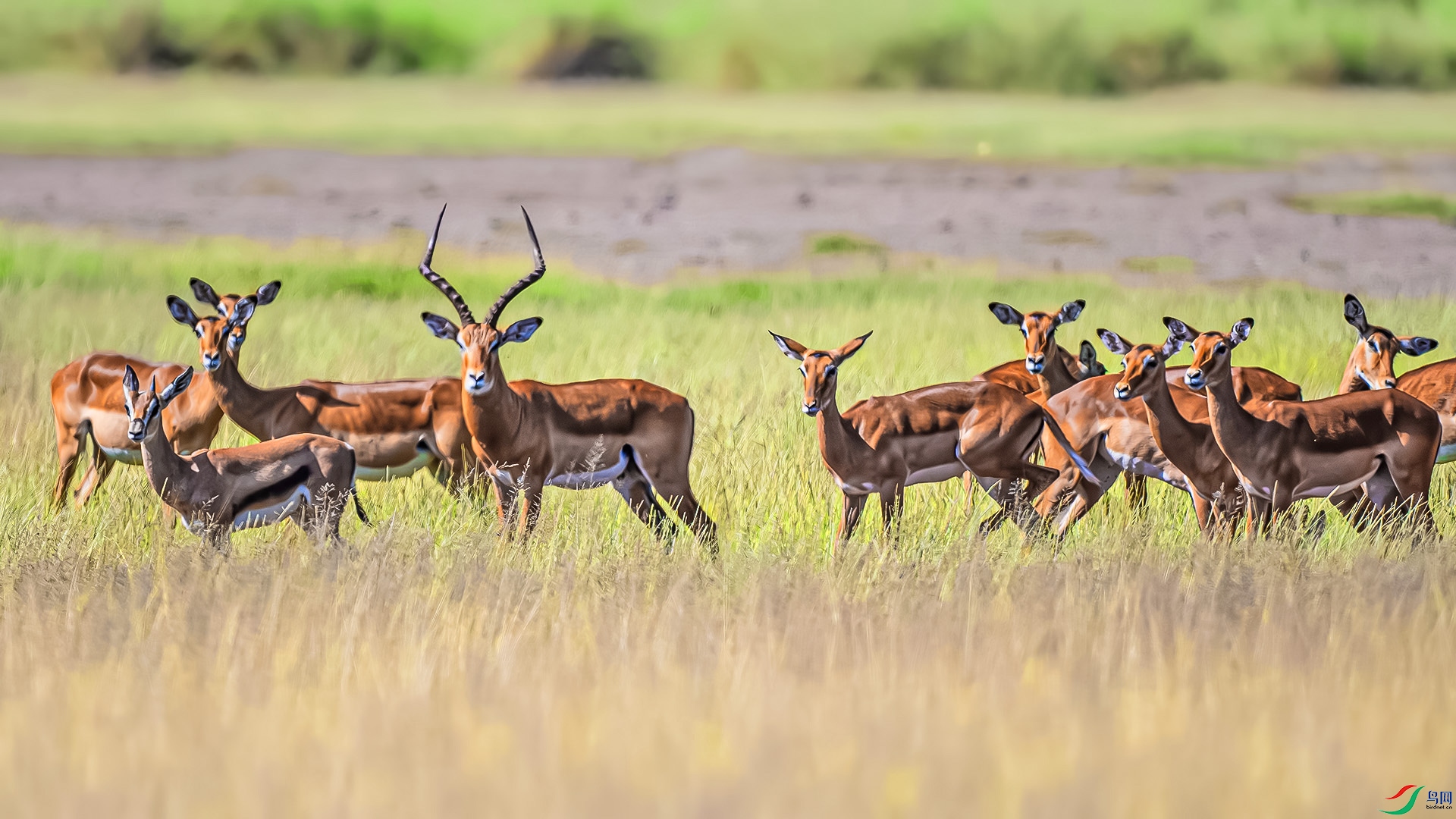 _DSC3066 ����.jpg