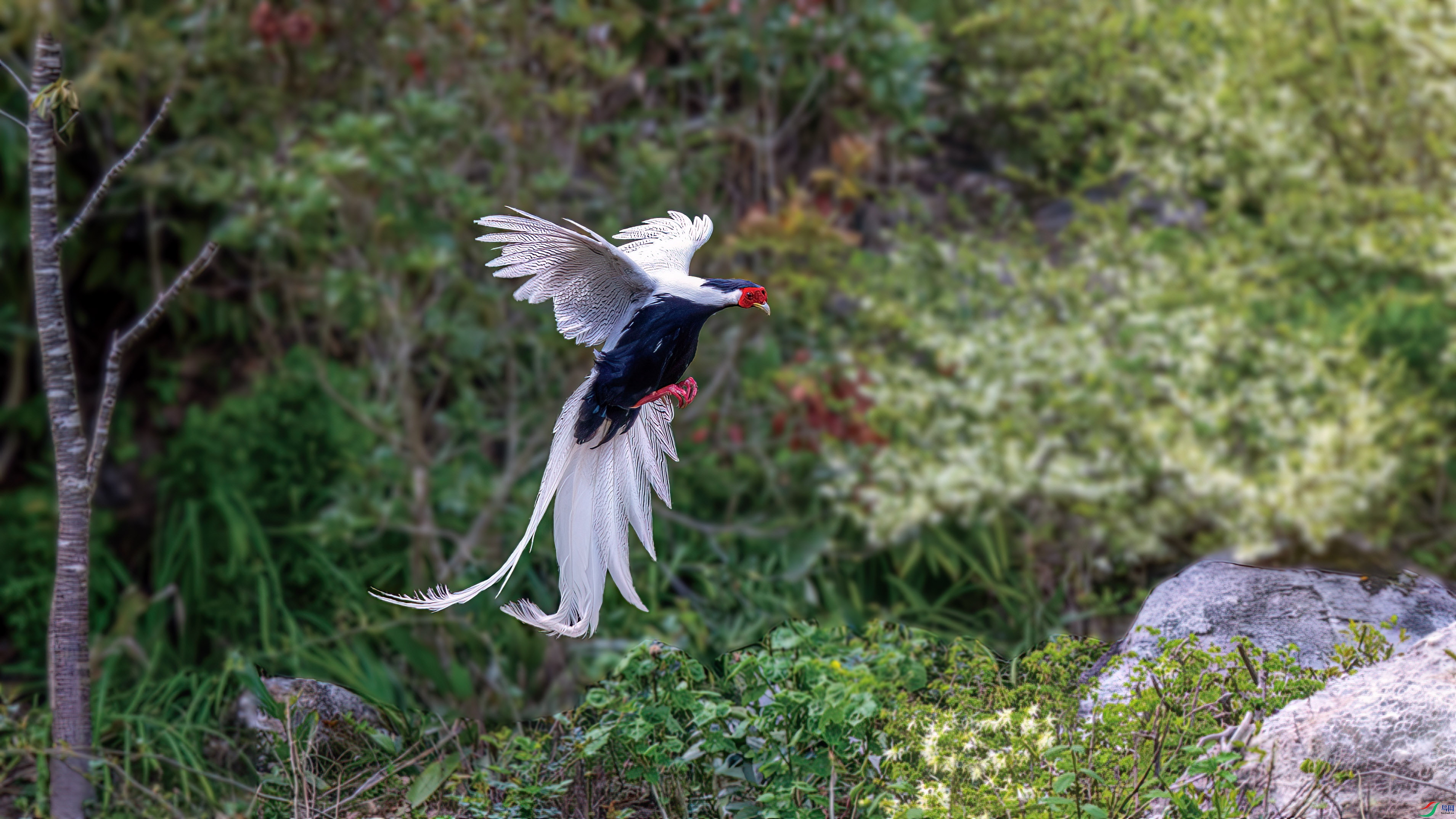 DSC_8181.jpg