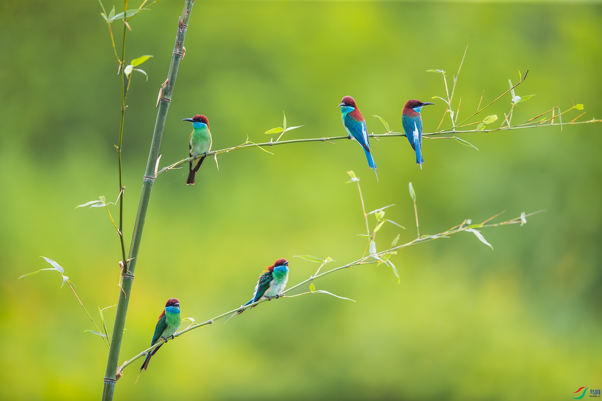 BU3I5960 ����.jpg