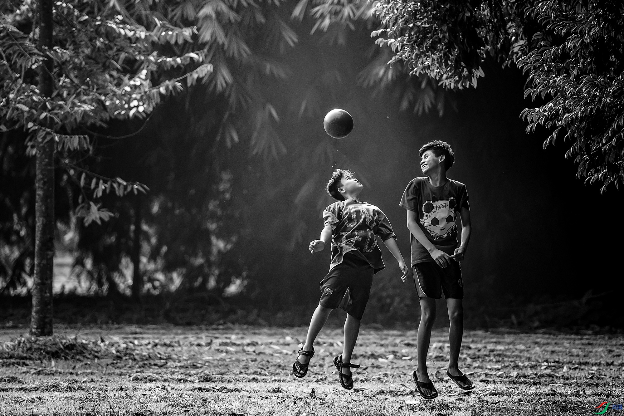 _DSC3798a ����.jpg