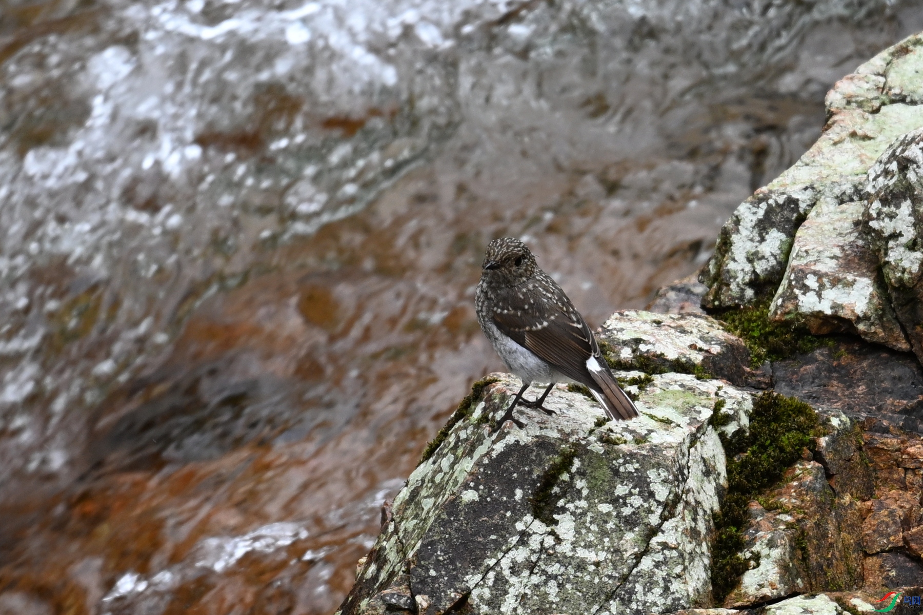 DSC_3276.JPG