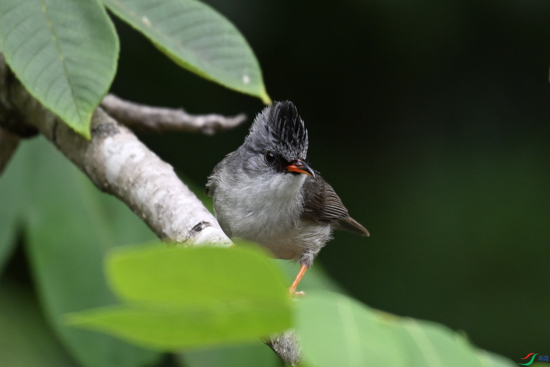 DSC_3305.JPG