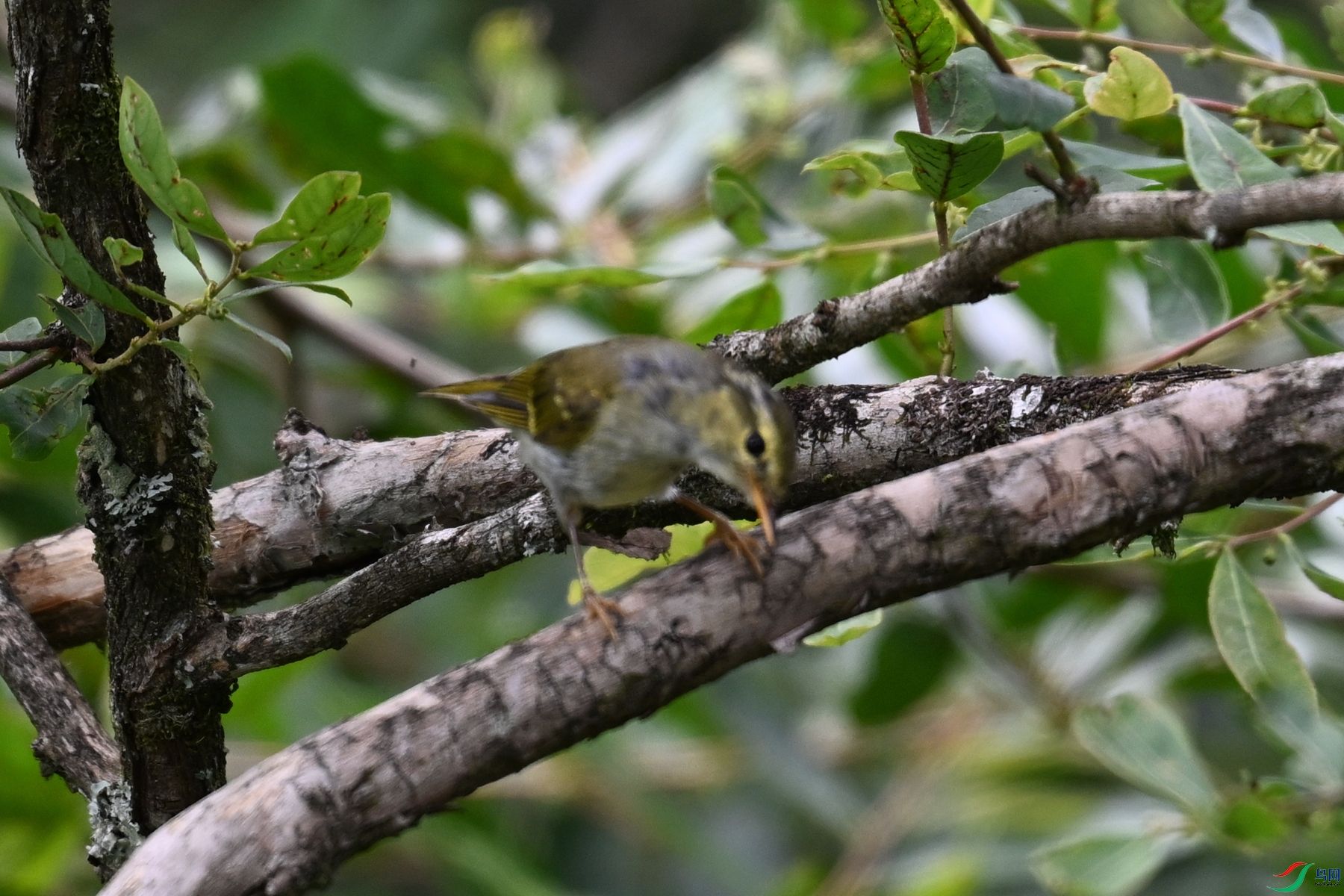 DSC_3334.JPG