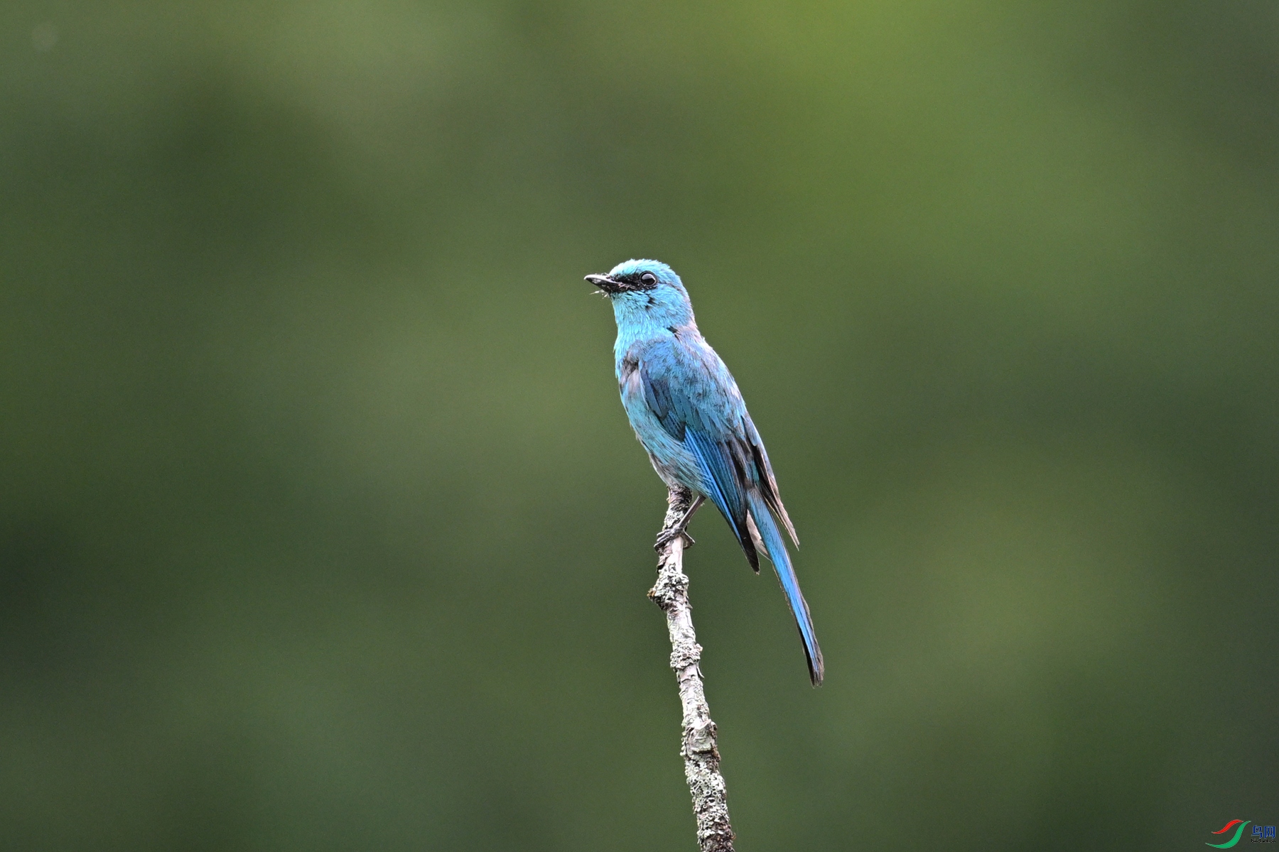 DSC_3188.JPG