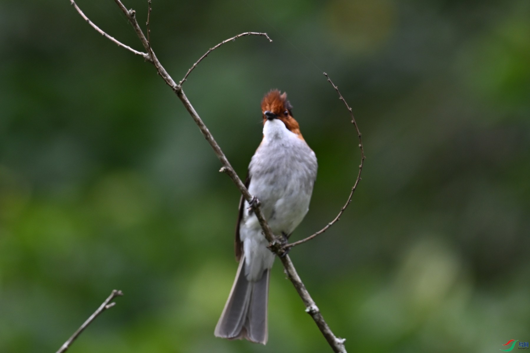DSC_3310.JPG