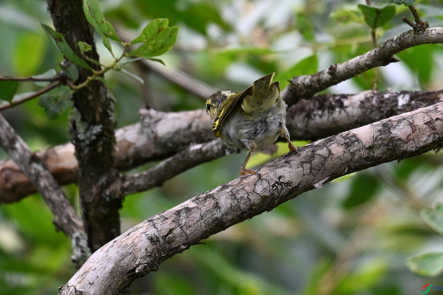 DSC_3340.JPG