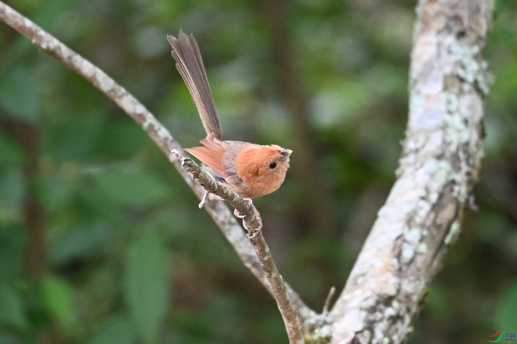 DSC_3222.JPG