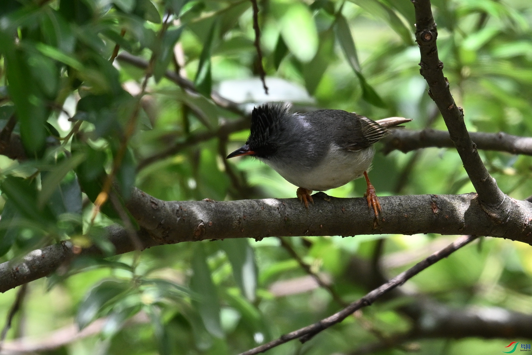 DSC_3345.JPG