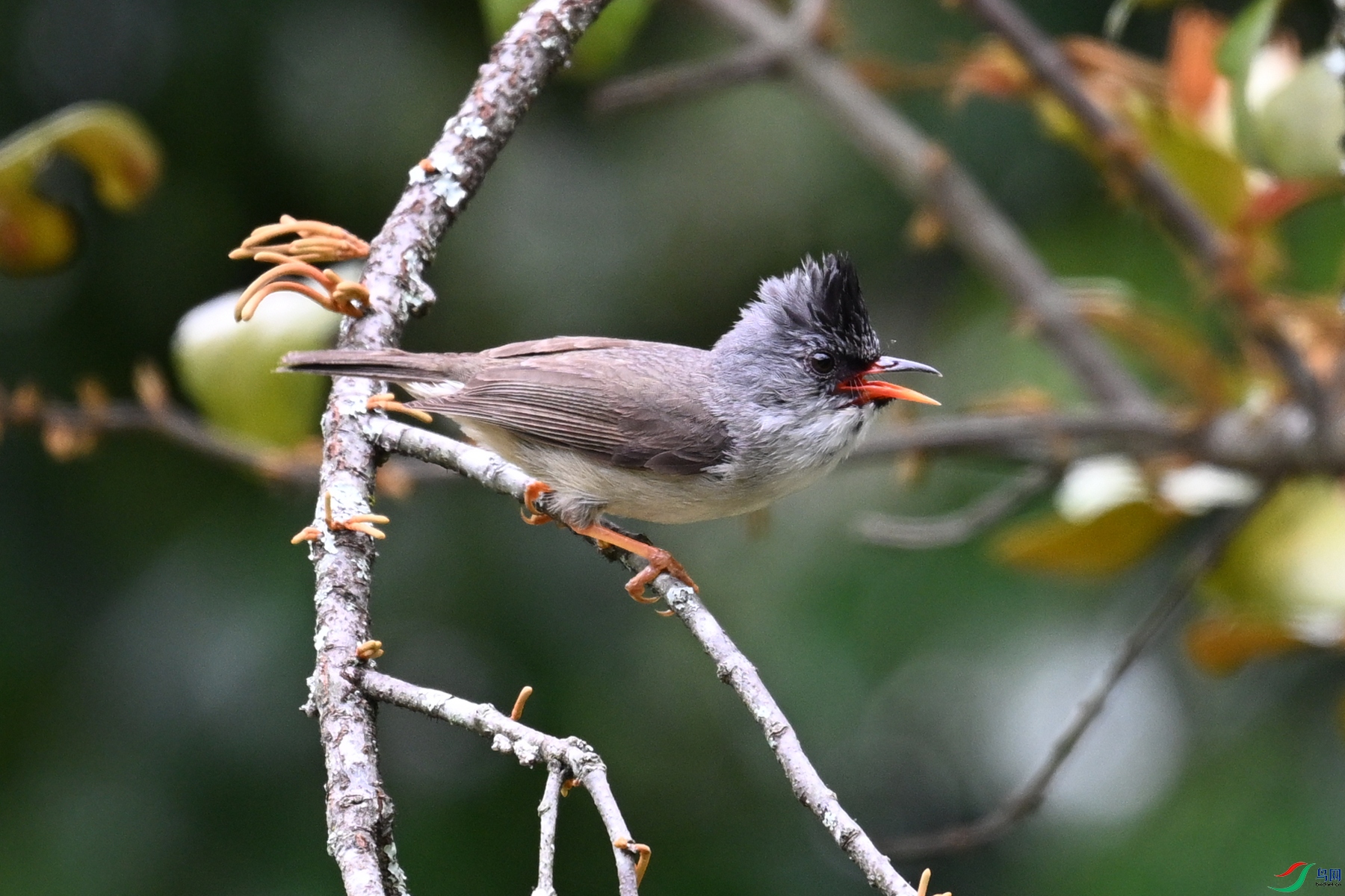 DSC_3289.JPG