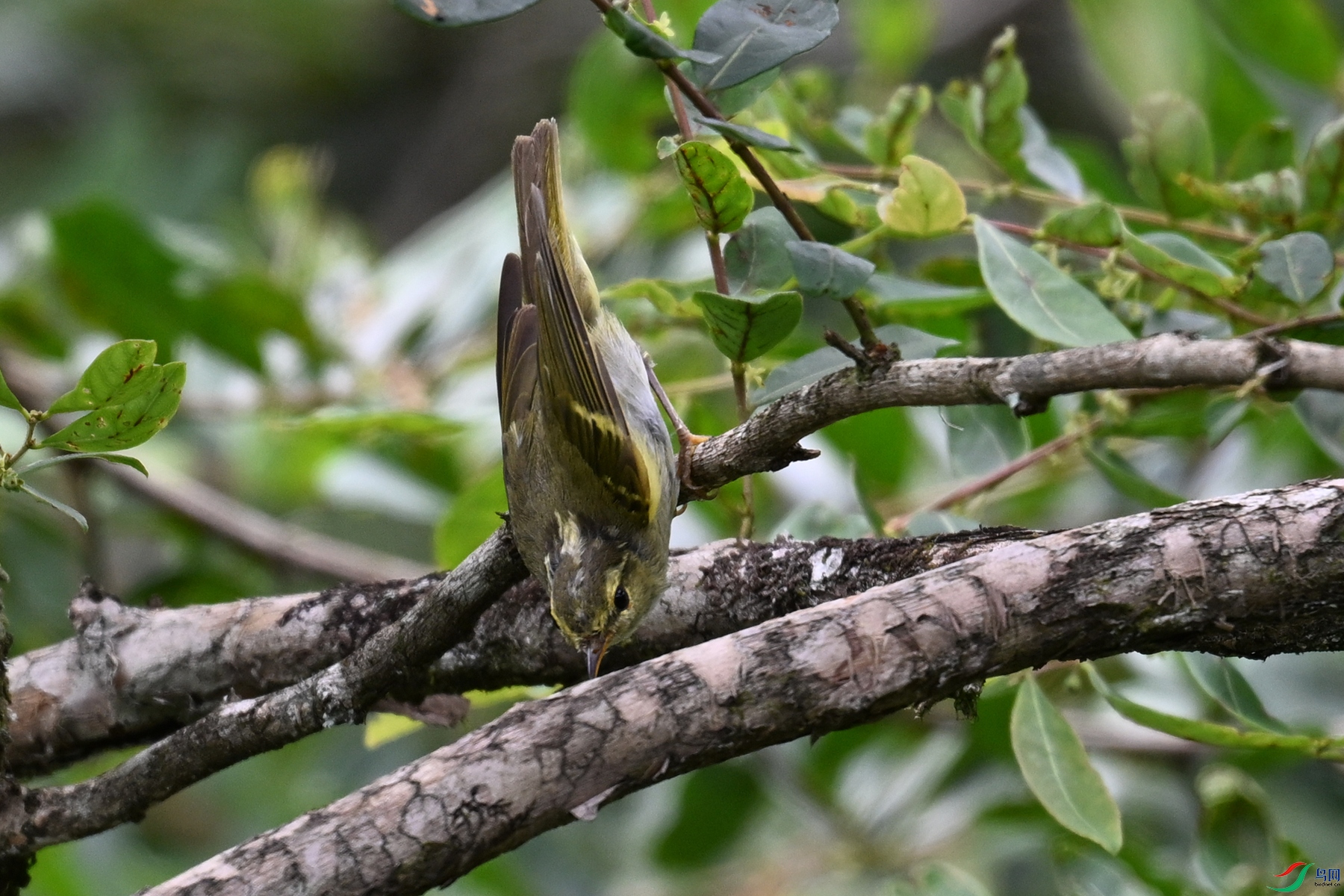 DSC_3324.JPG