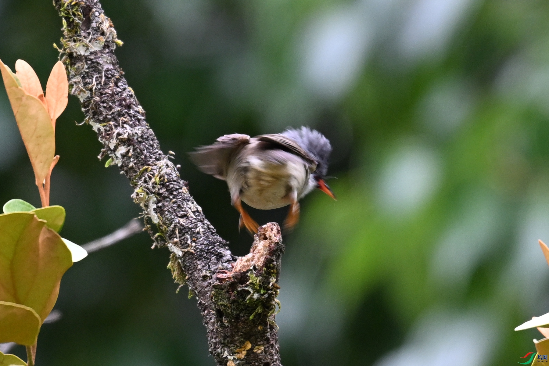 DSC_3293.JPG