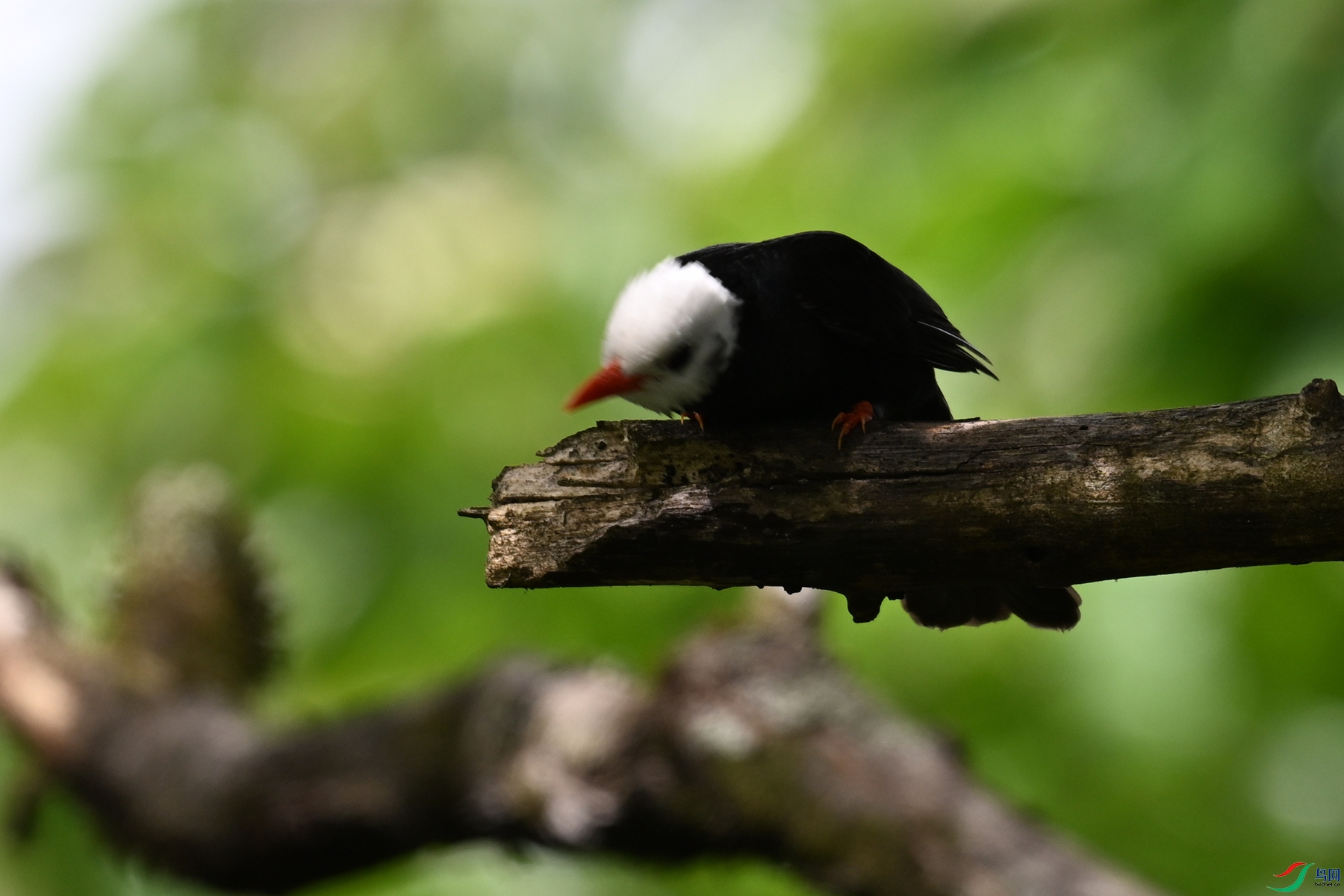 DSC_3354.JPG