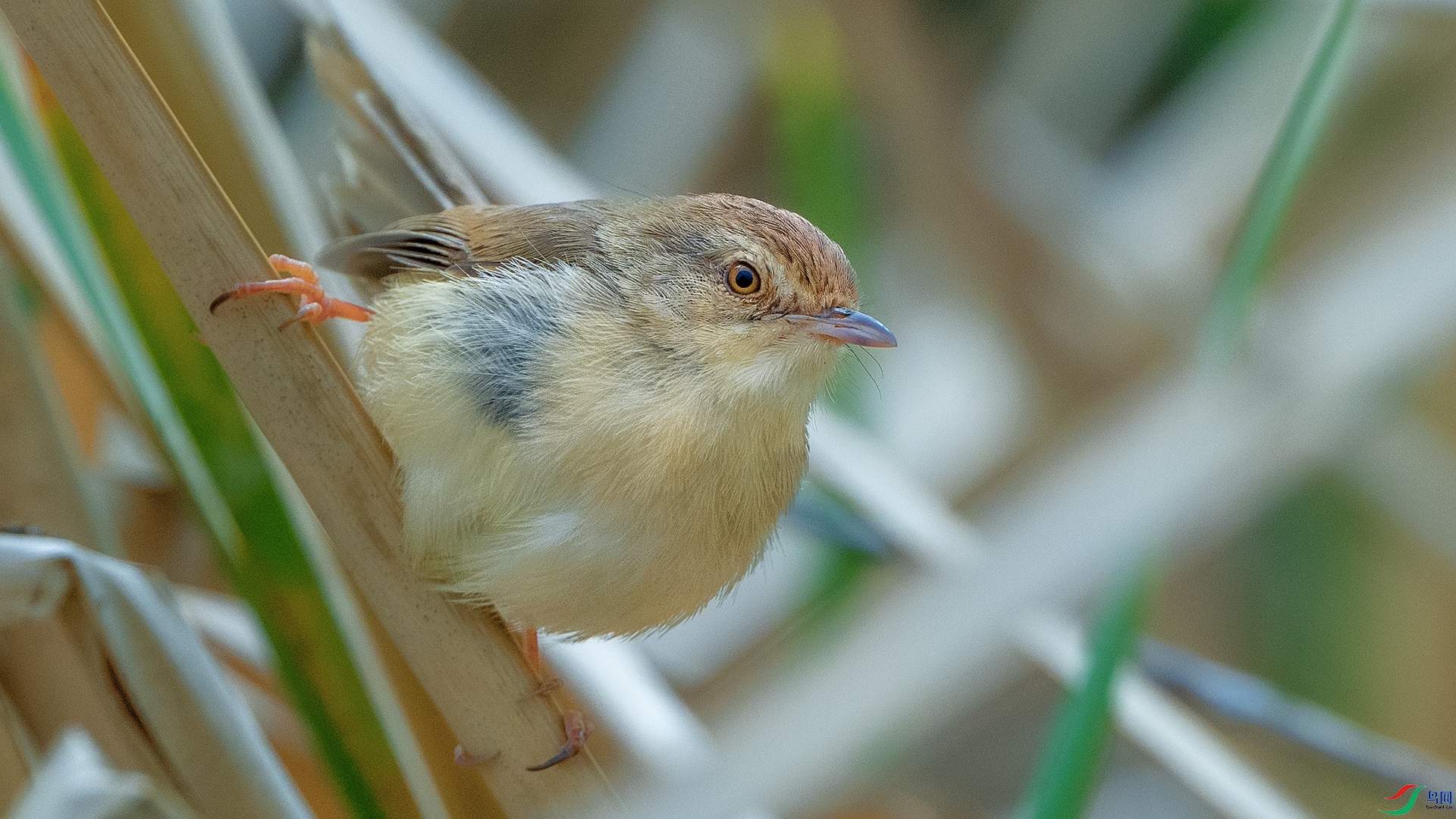 DSC_8608 ����.jpg
