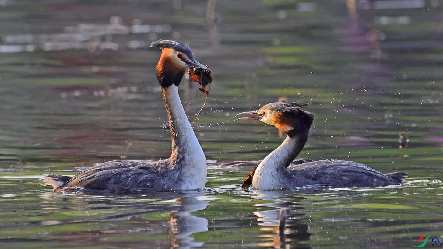 2Y7A8029 ����2.jpg