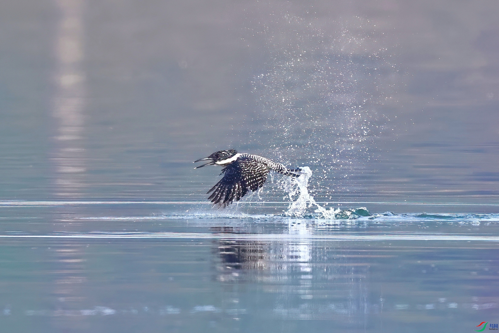 IMG_0119-1.JPG