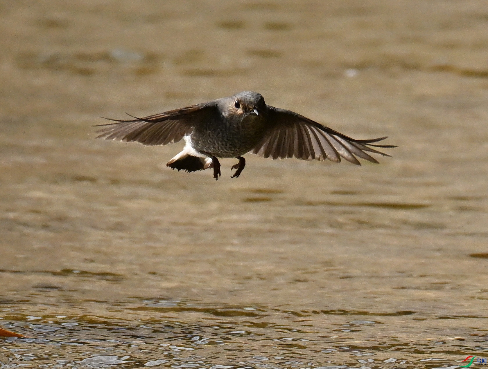 DSC_3384.JPG