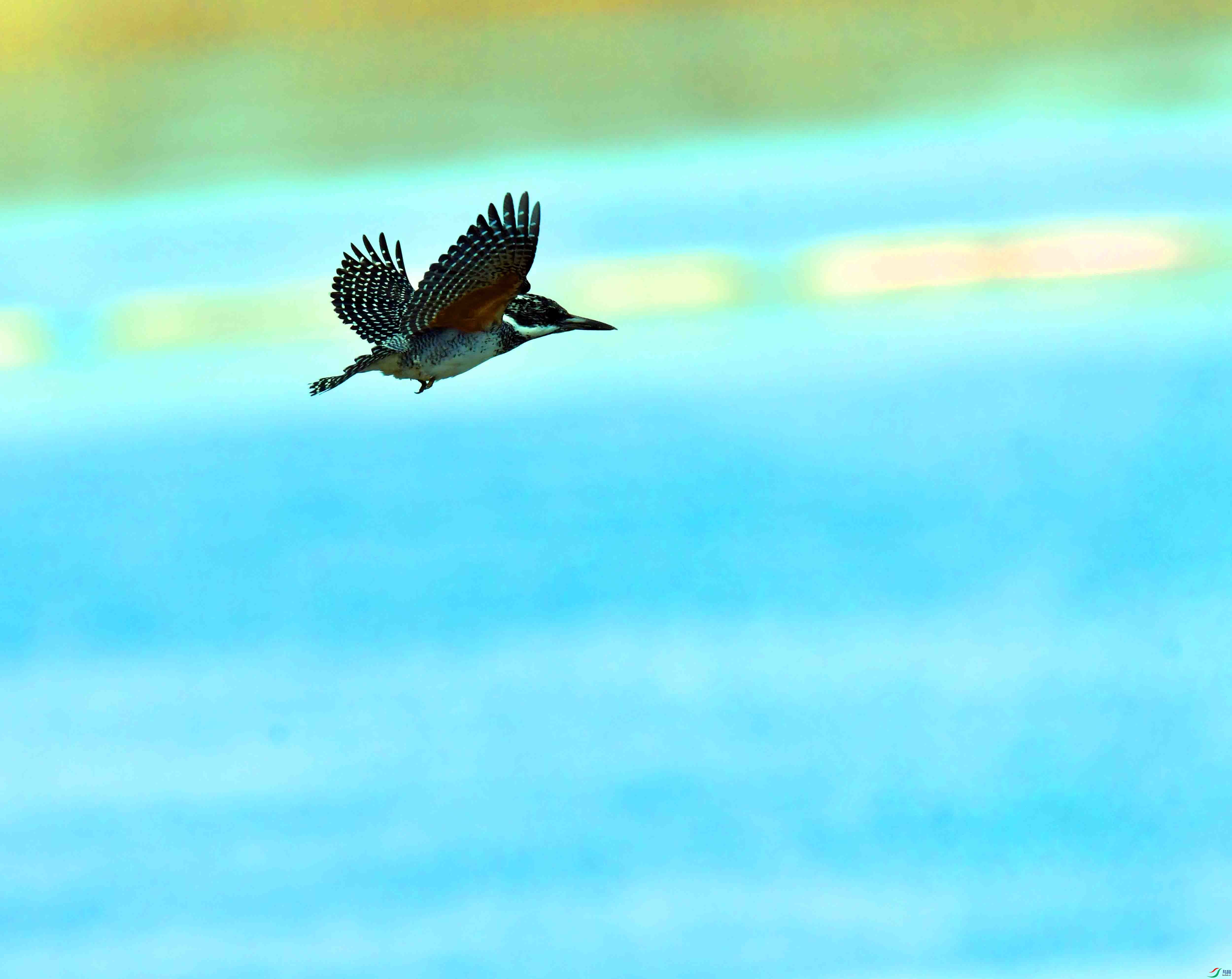 DSC_5045.JPG
