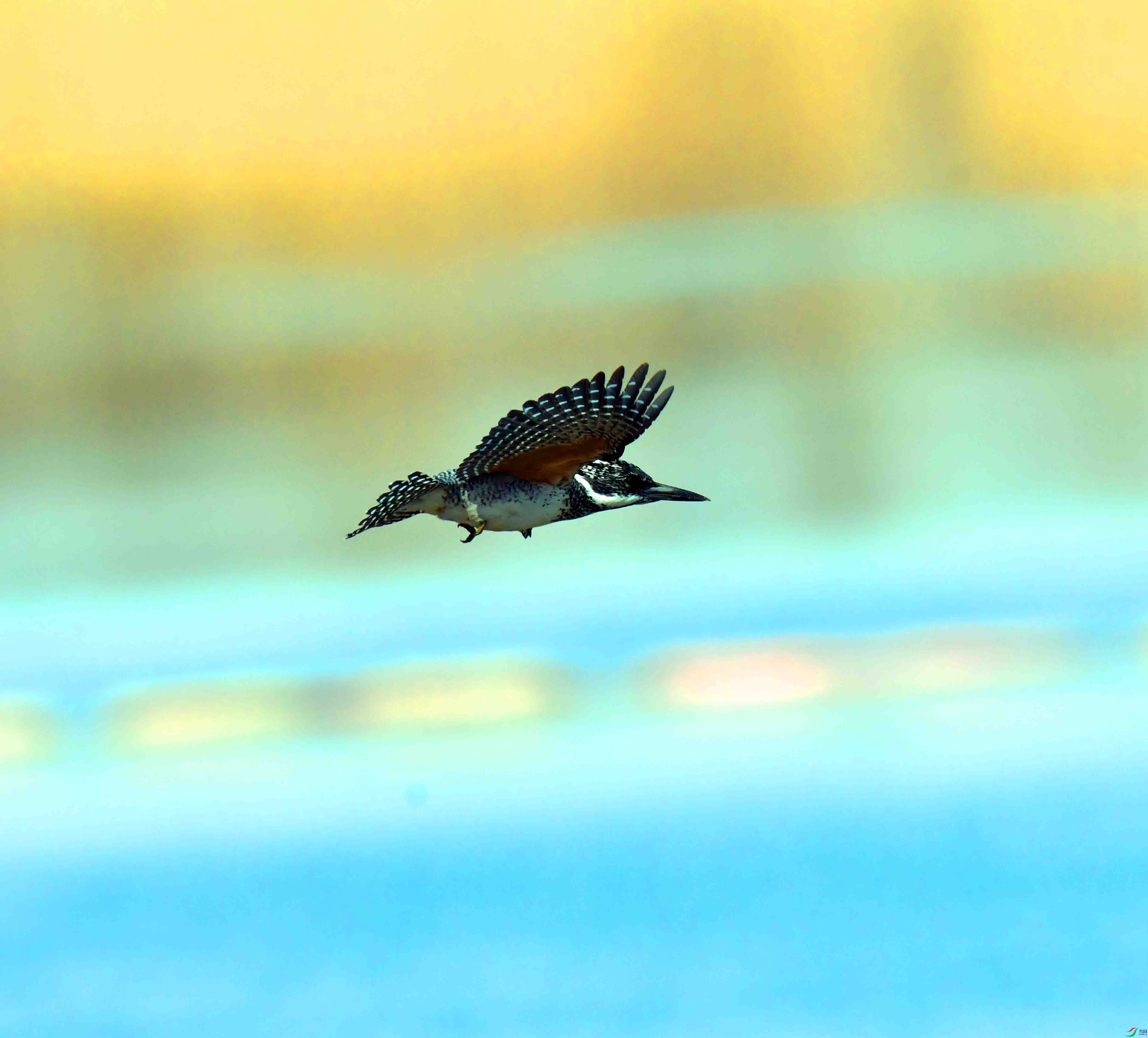 DSC_5043.JPG