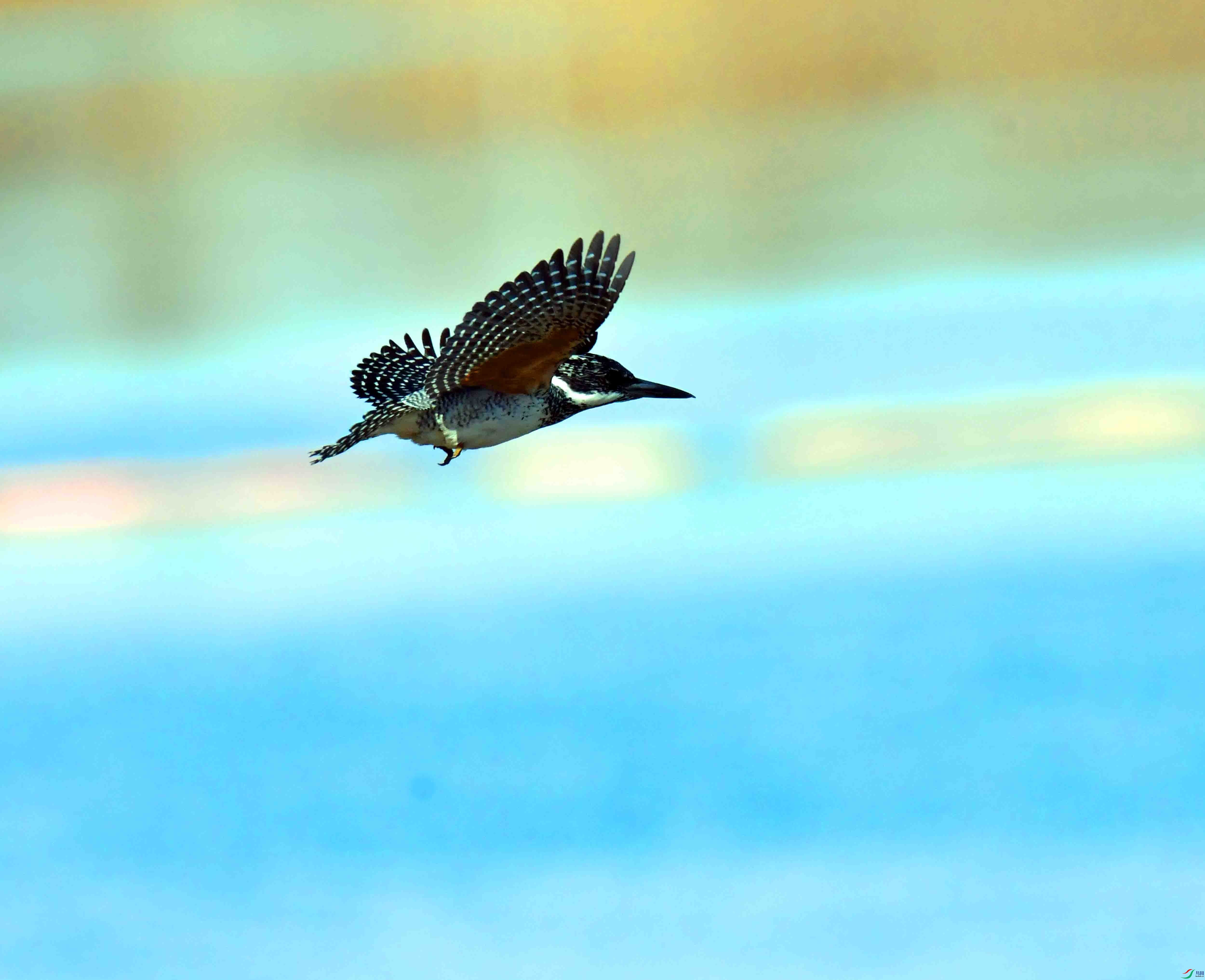 DSC_5044.JPG