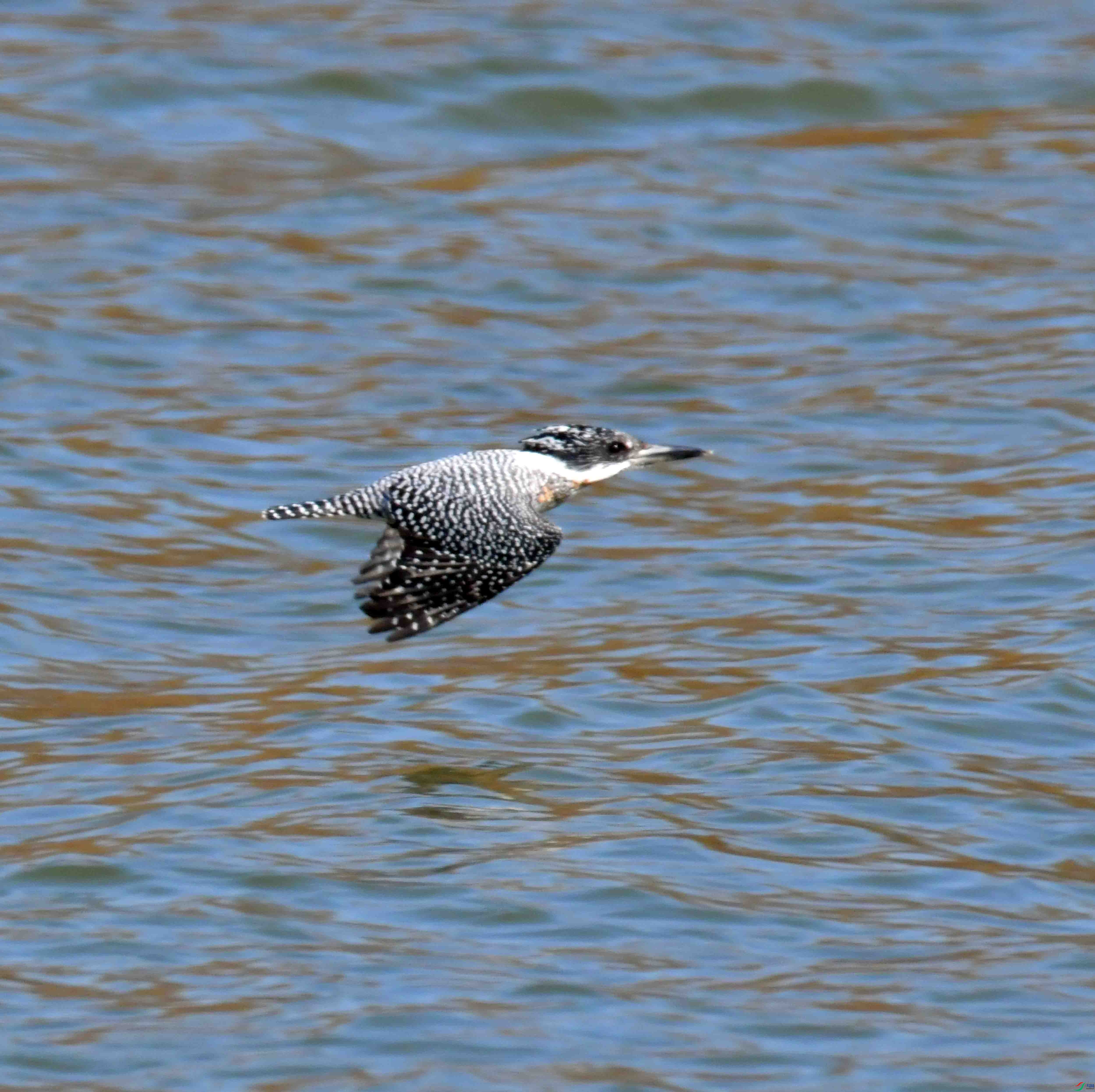 DSC_6742.JPG