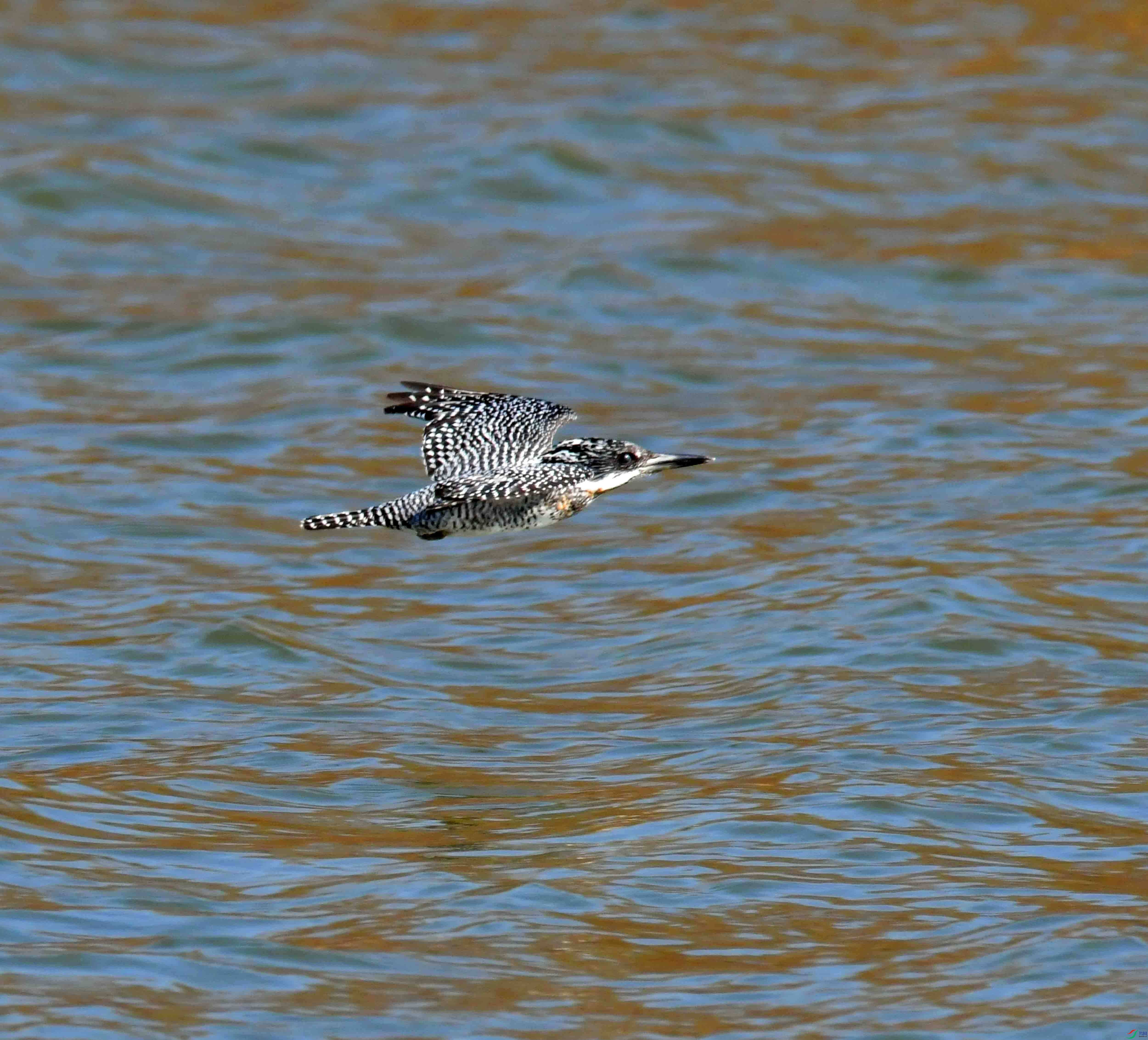 DSC_6743.JPG