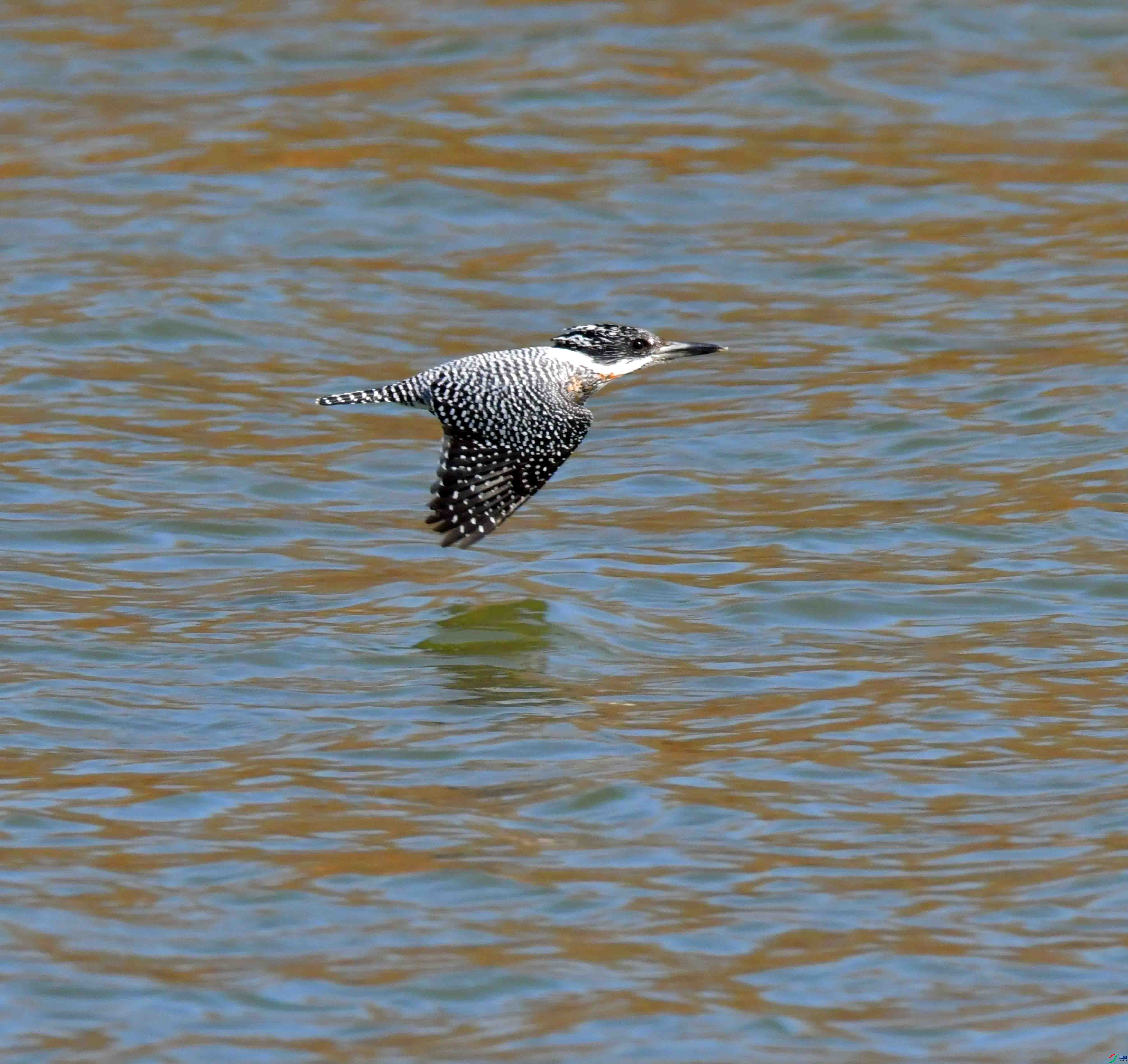 DSC_6744.JPG