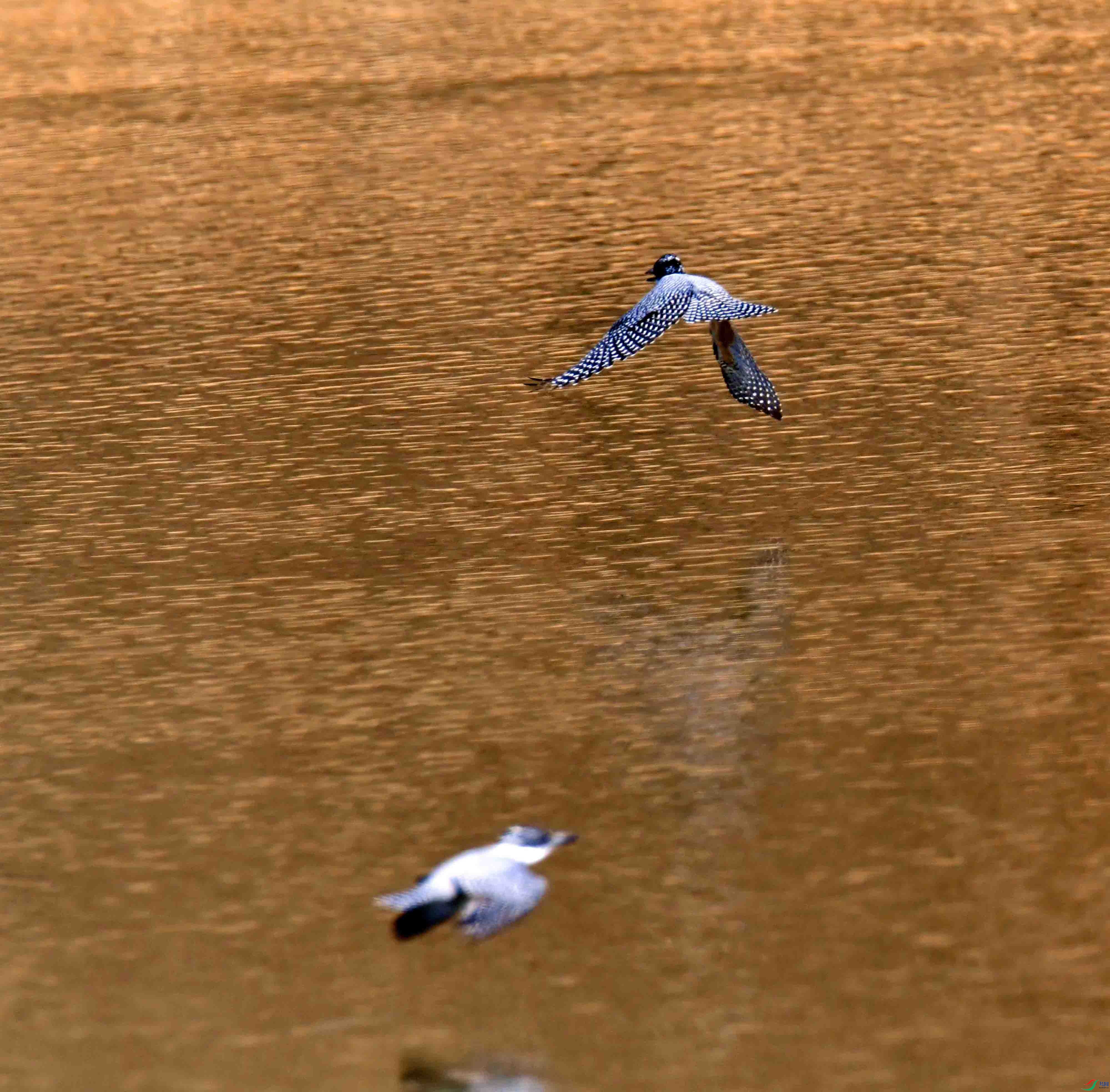 DSC_8629.JPG