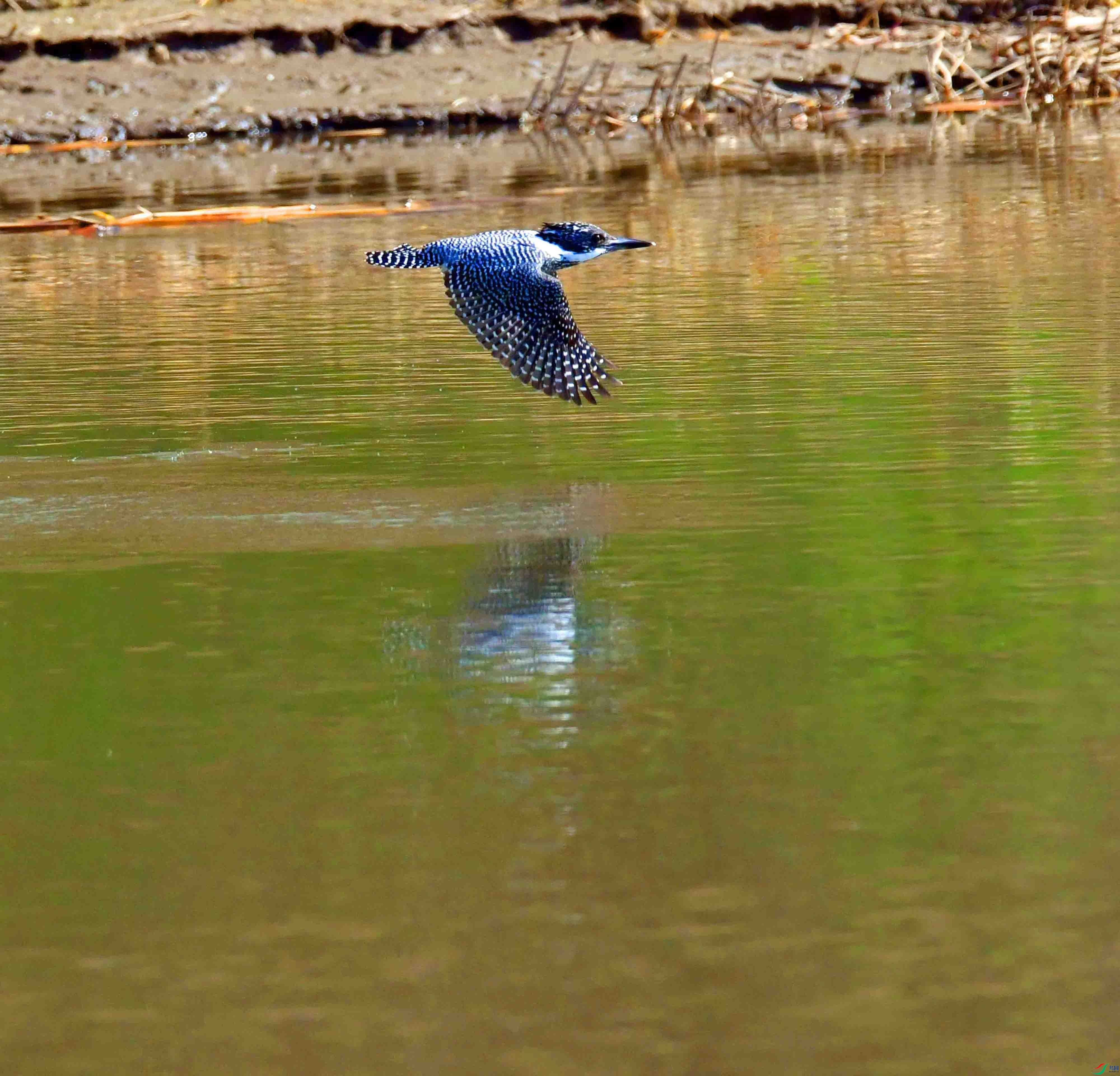 DSC_8645.JPG