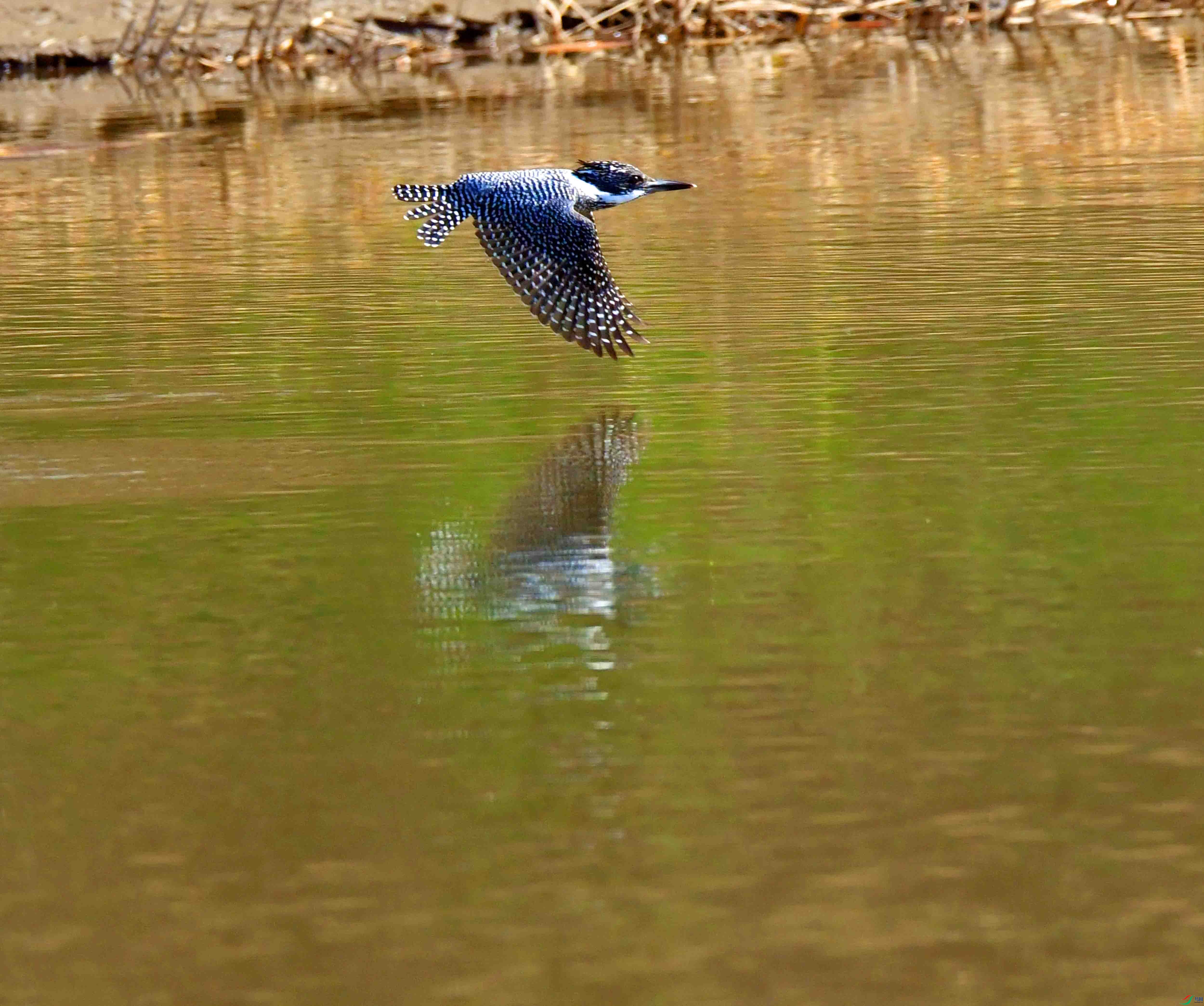 DSC_8646.JPG