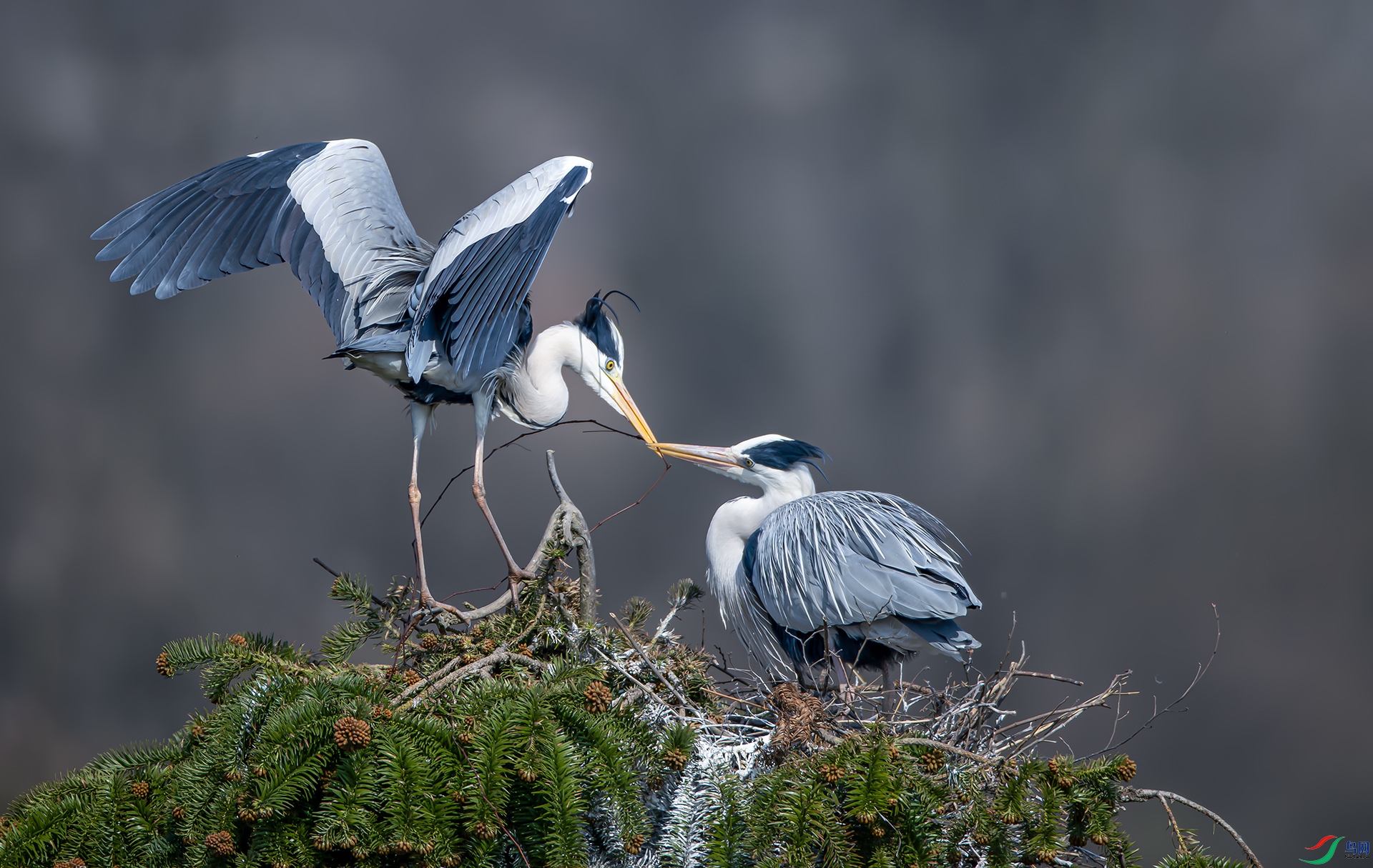 _S7I1425----33  .jpg