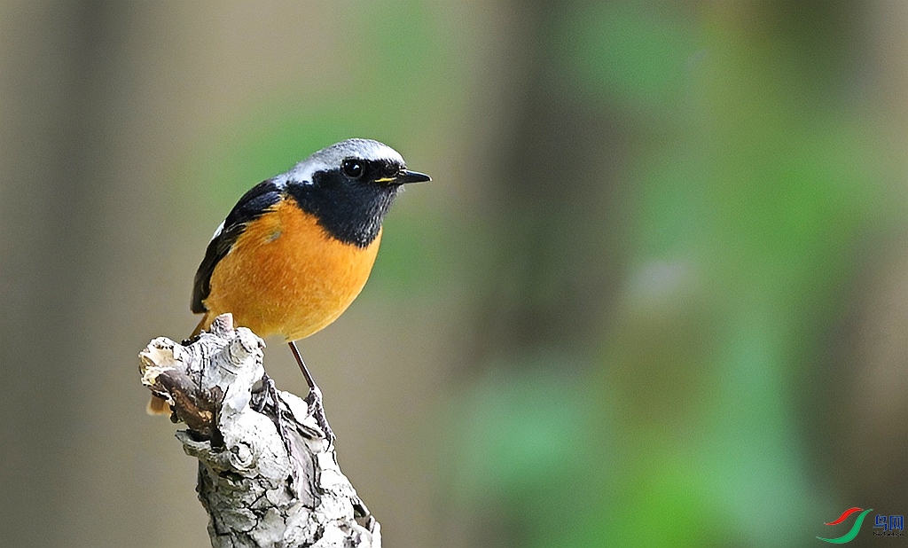 DSC_4488.JPG
