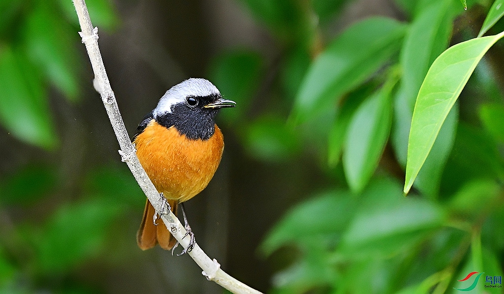DSC_4793.JPG