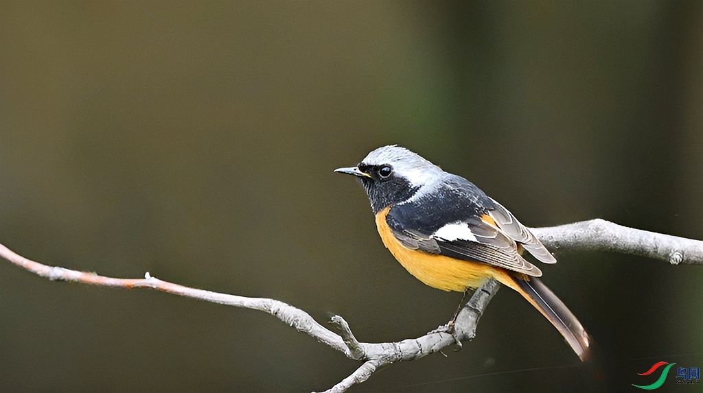 DSC_5229.JPG