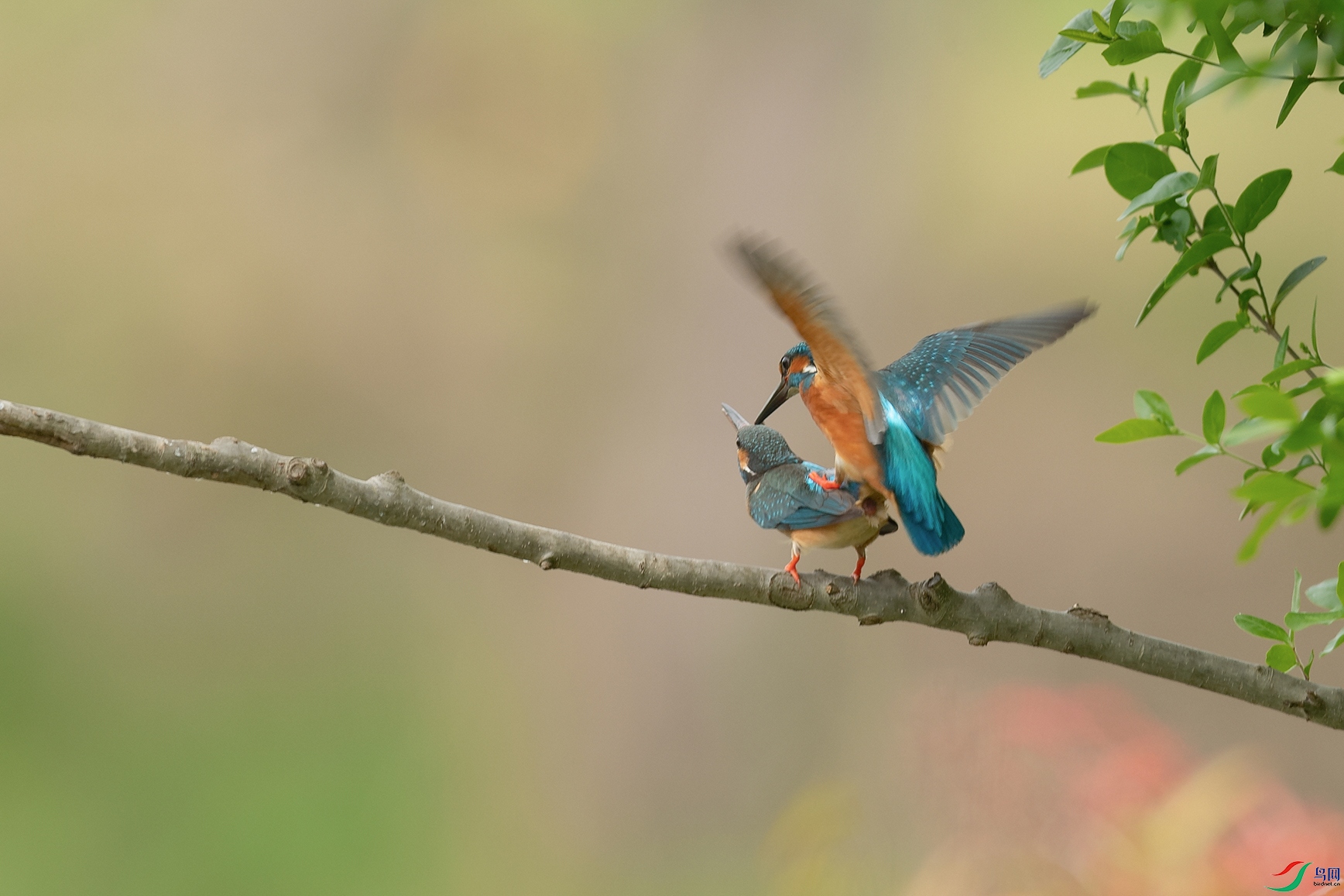 DSC_5181_DxOa.jpg