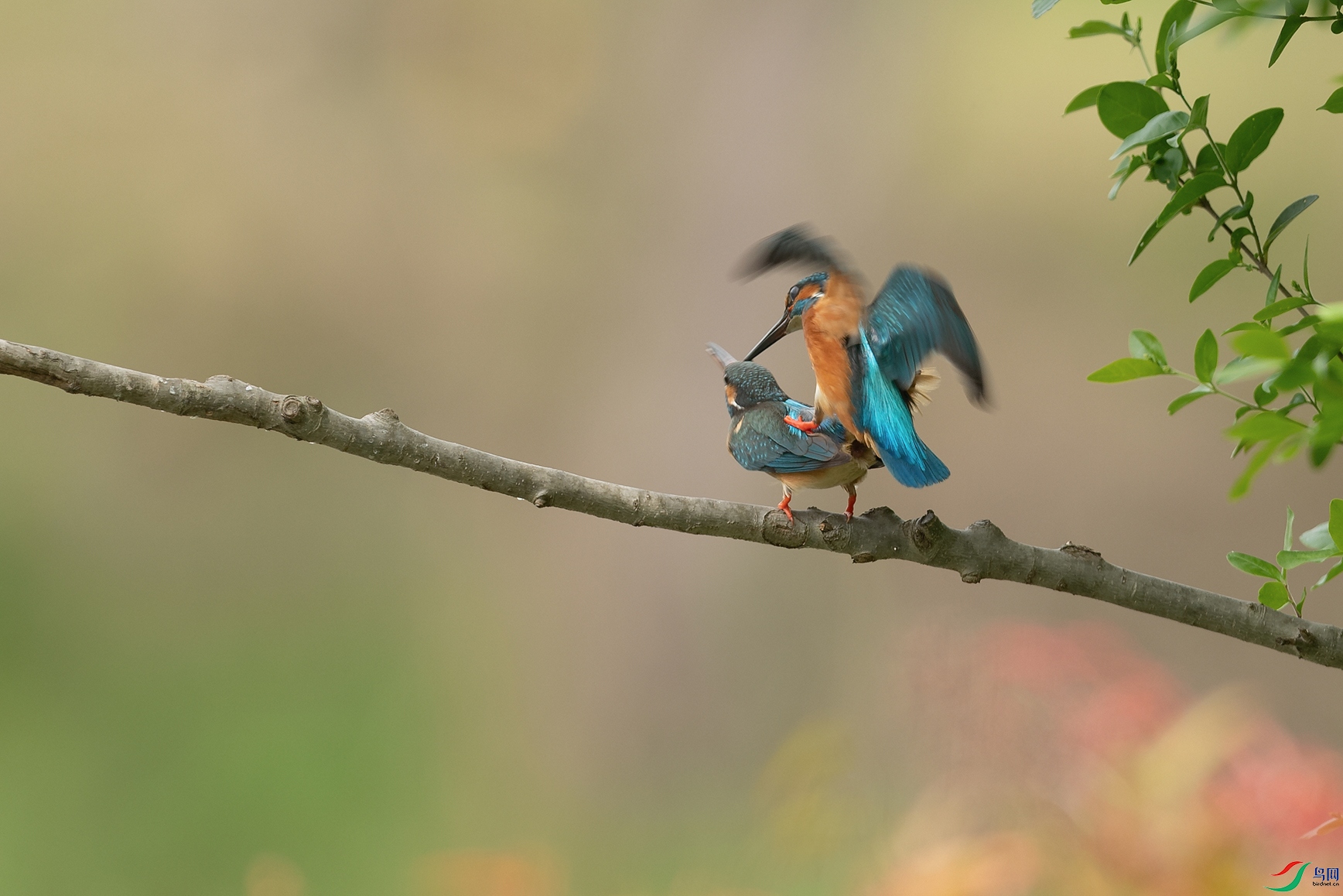 DSC_5180_DxOa.jpg
