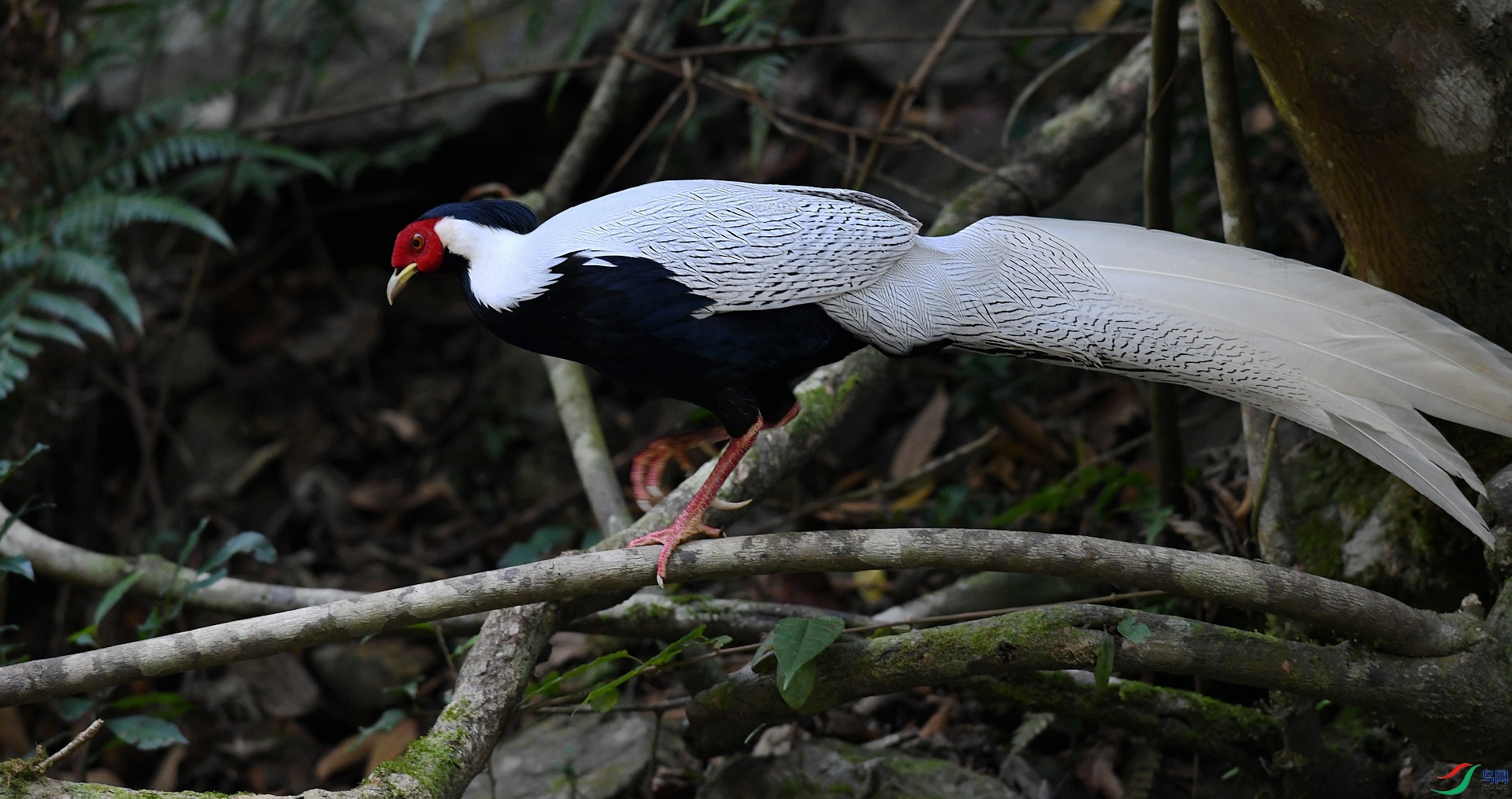 DSC_8070.jpg