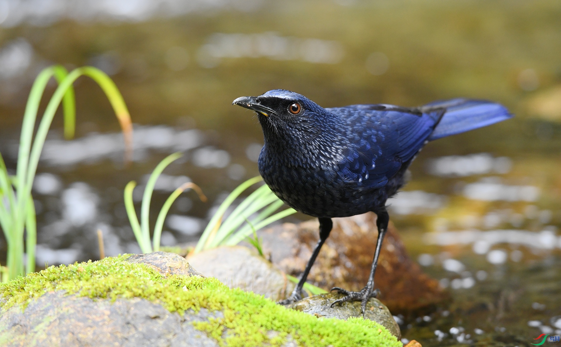 DSC_7961.jpg