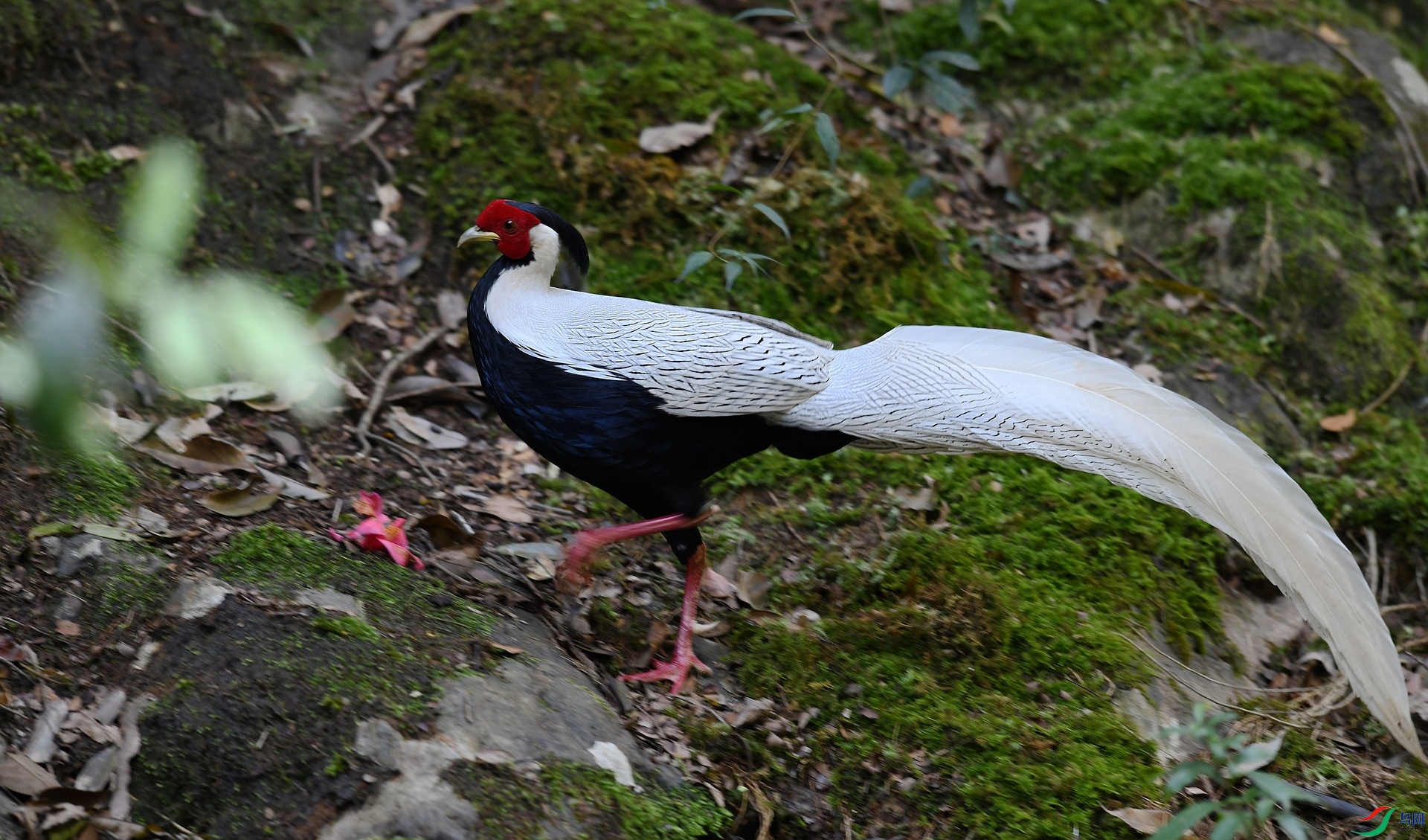 DSC_8058.jpg