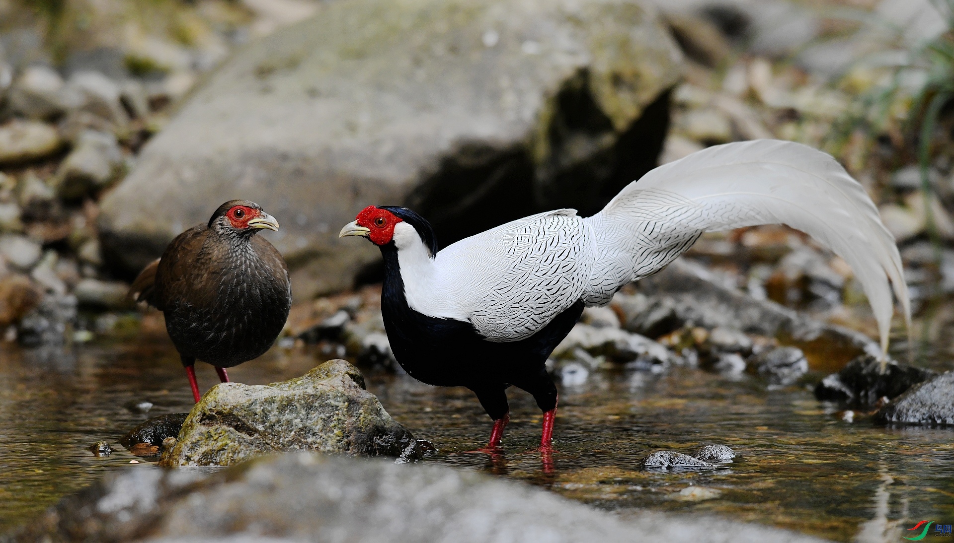 DSC_7994.jpg