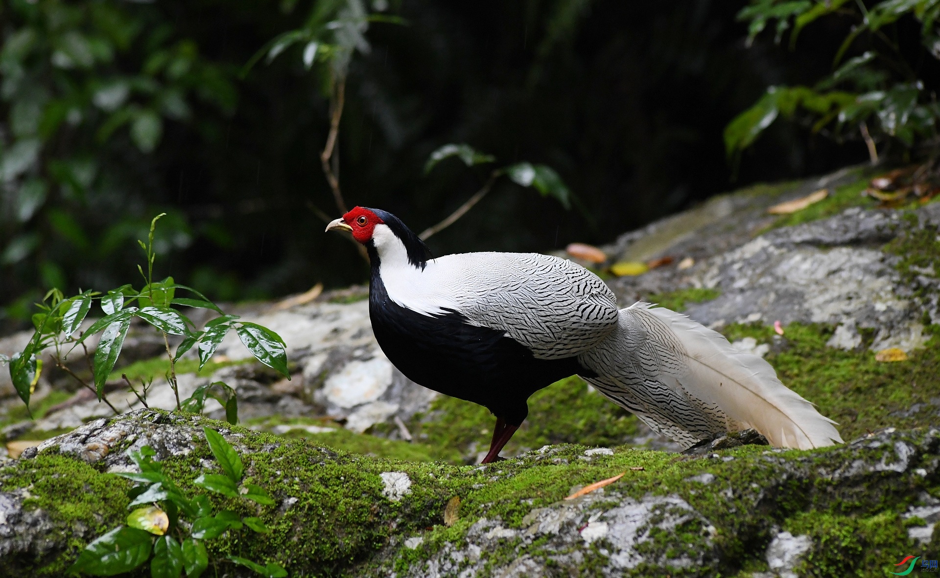 DSC_8163.jpg